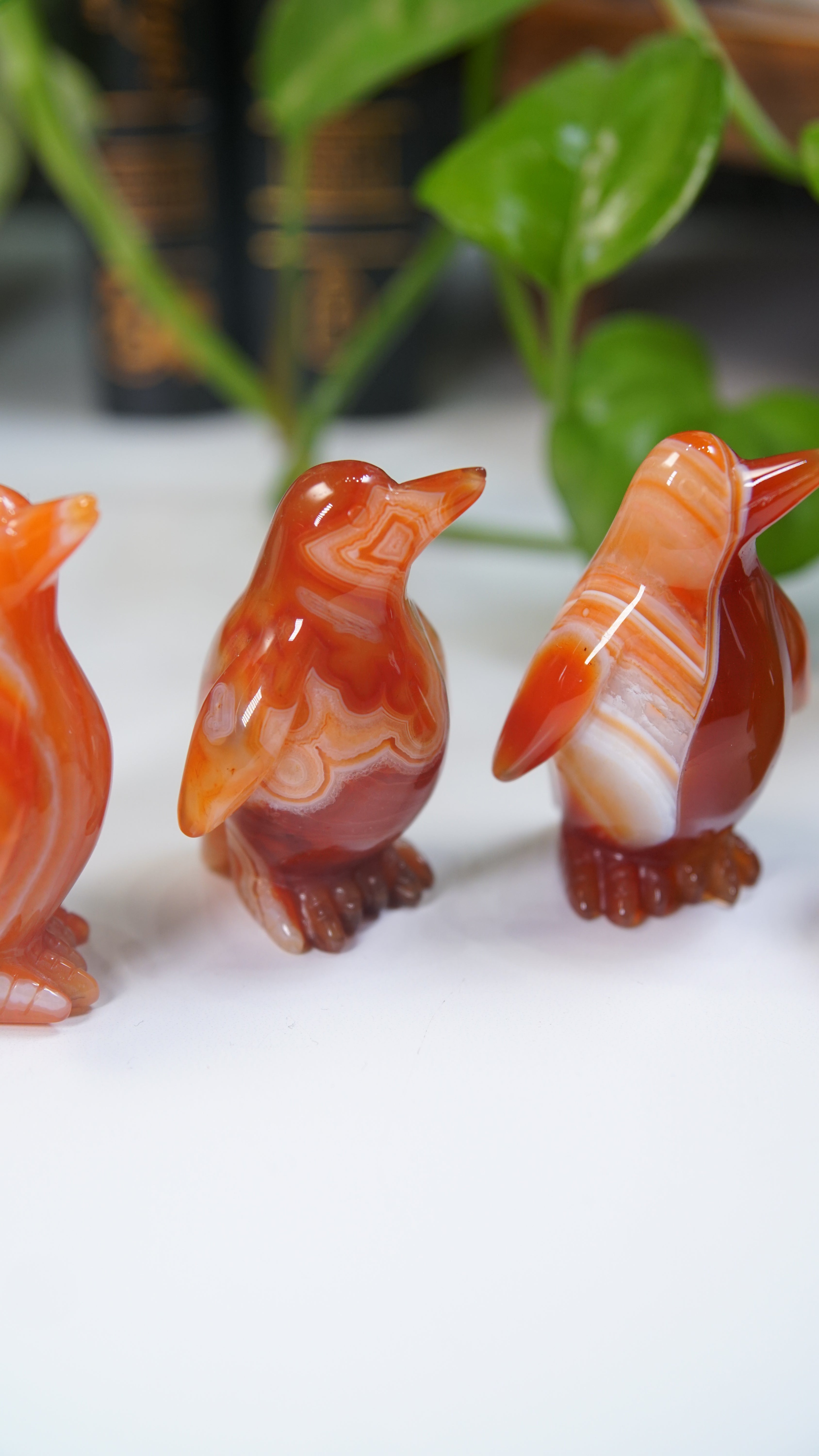 Carnelian Penguins Boutique Carvings