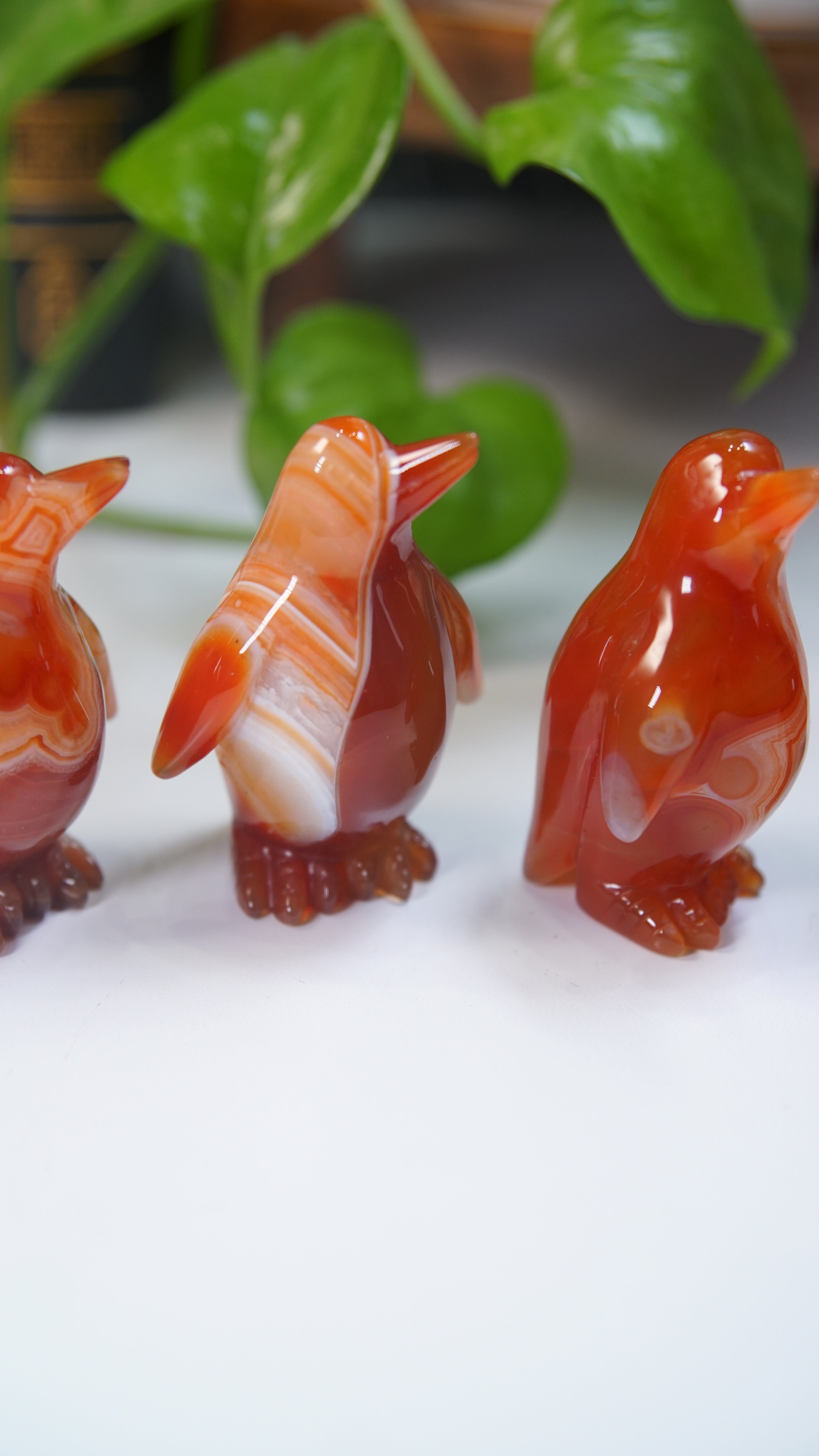 Carnelian Penguins Boutique Carvings