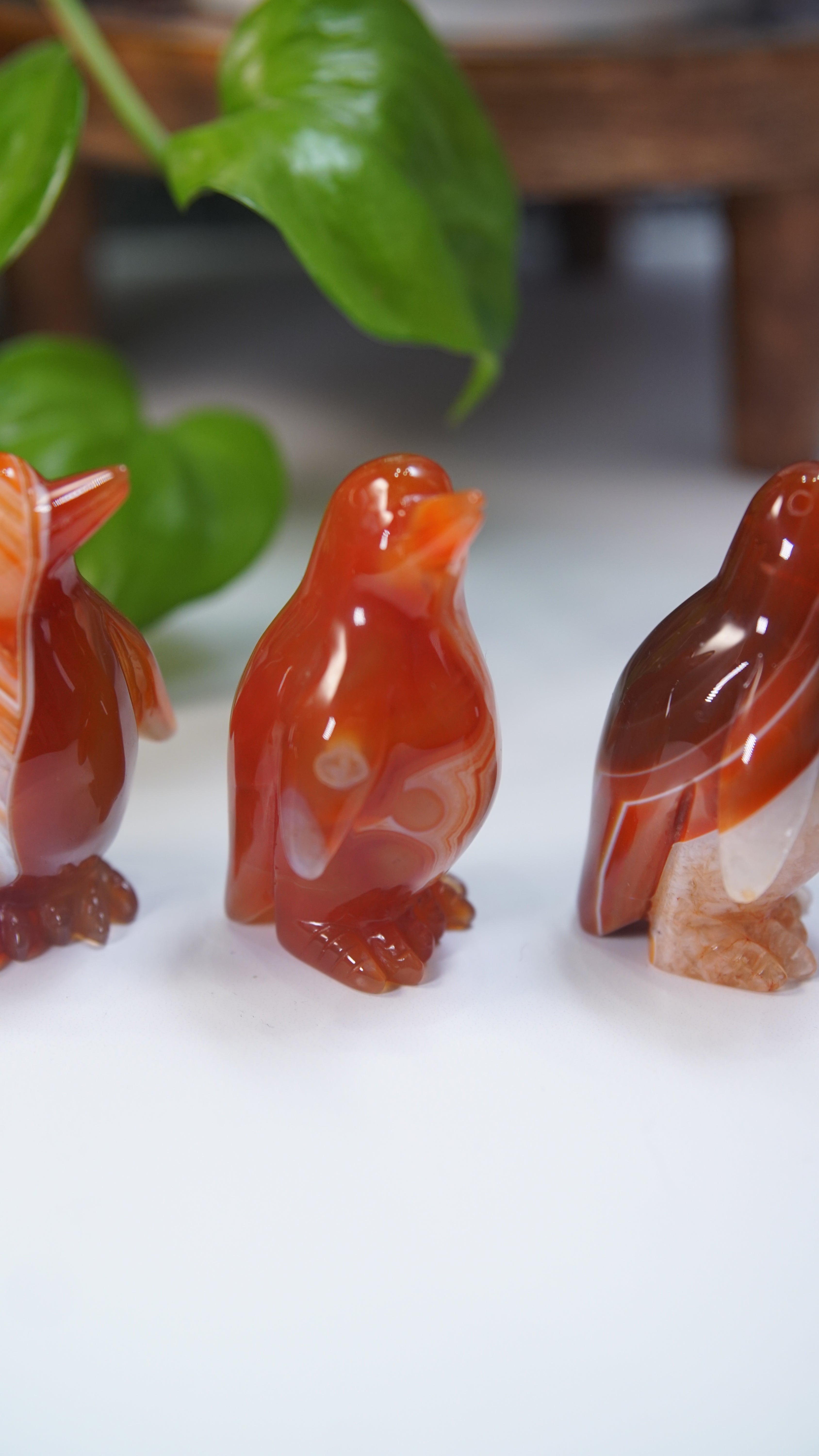 Carnelian Penguins Boutique Carvings