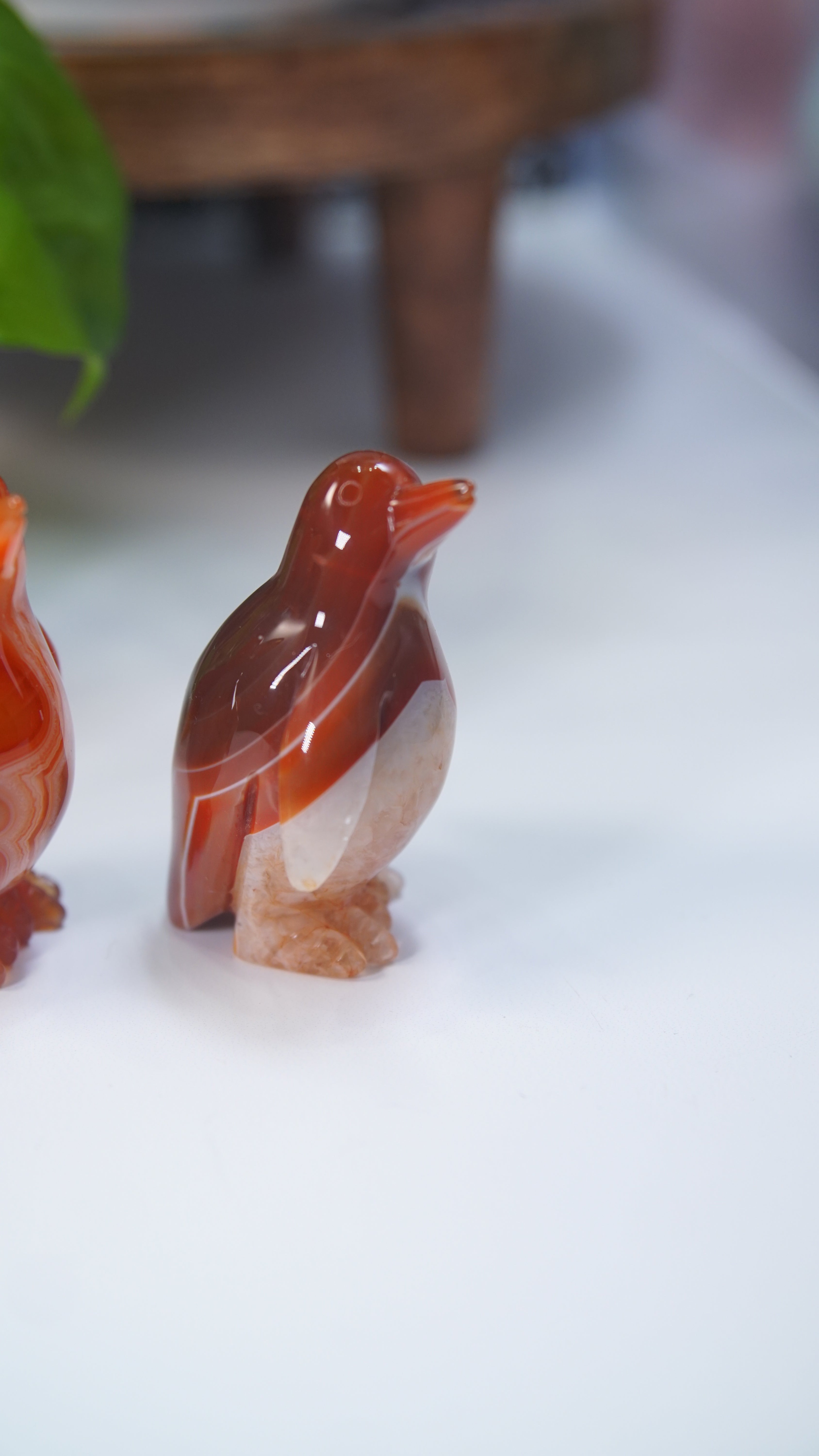 Carnelian Penguins Boutique Carvings