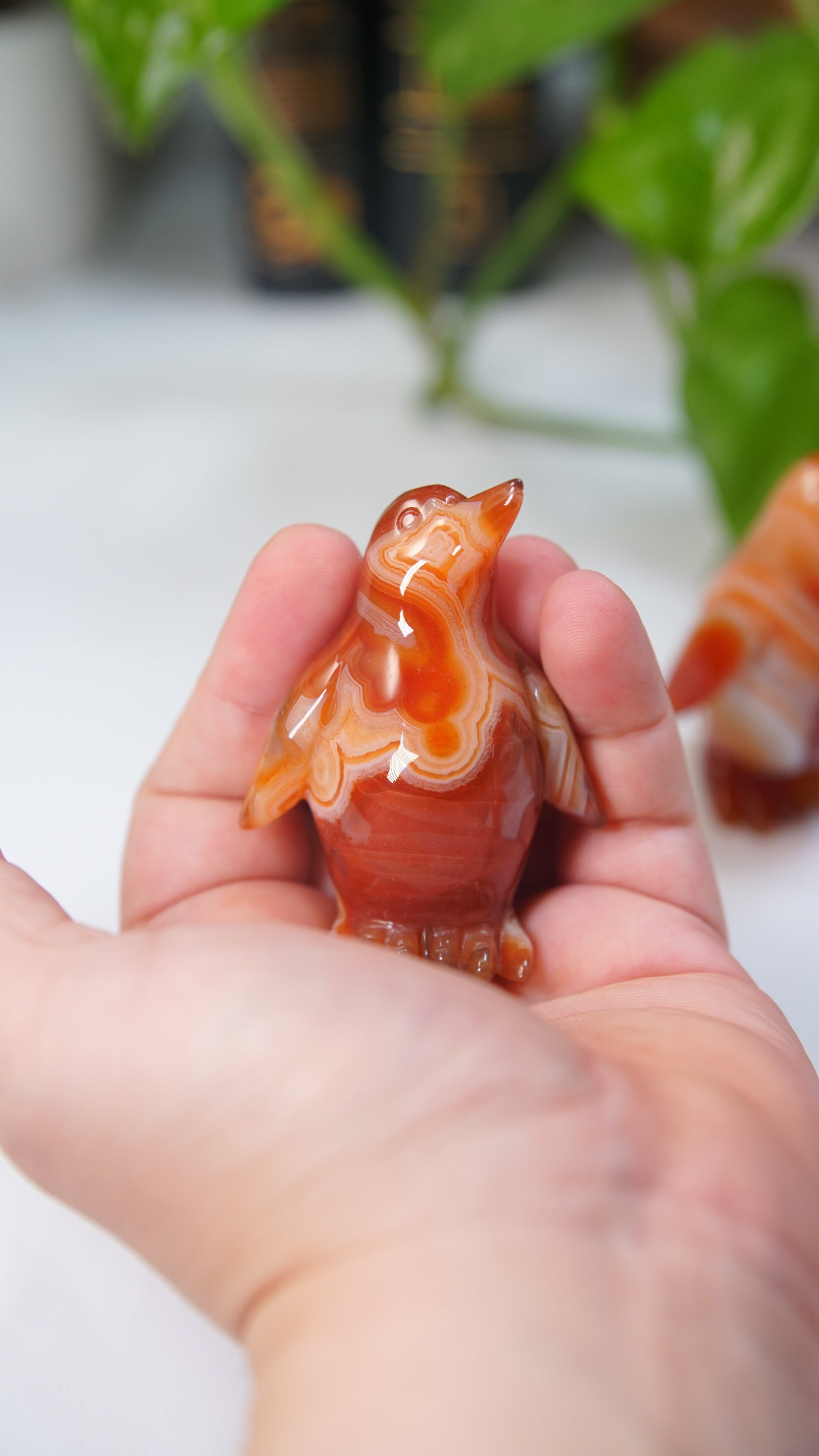 Carnelian Penguins Boutique Carvings