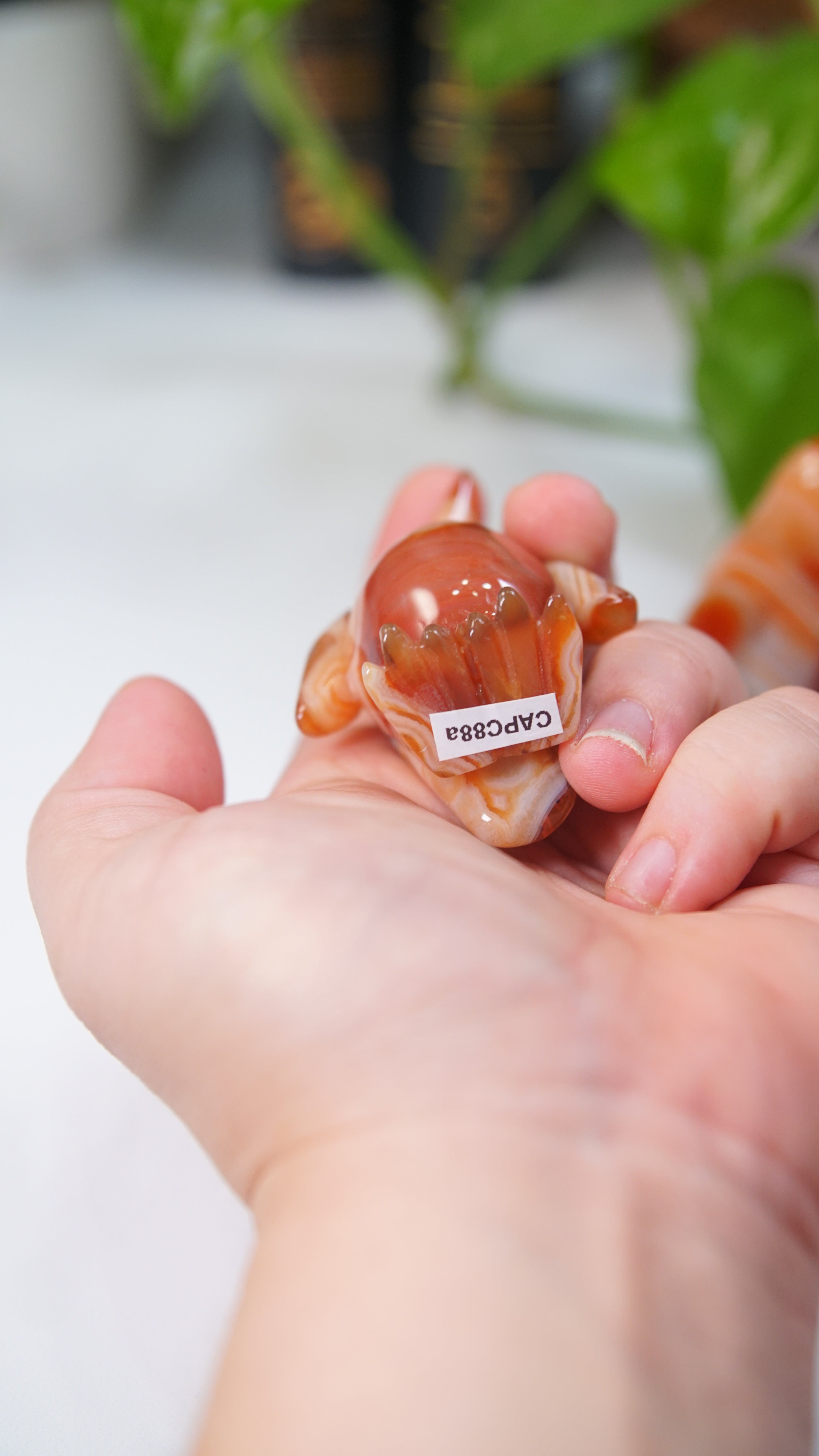 Carnelian Penguins Boutique Carvings