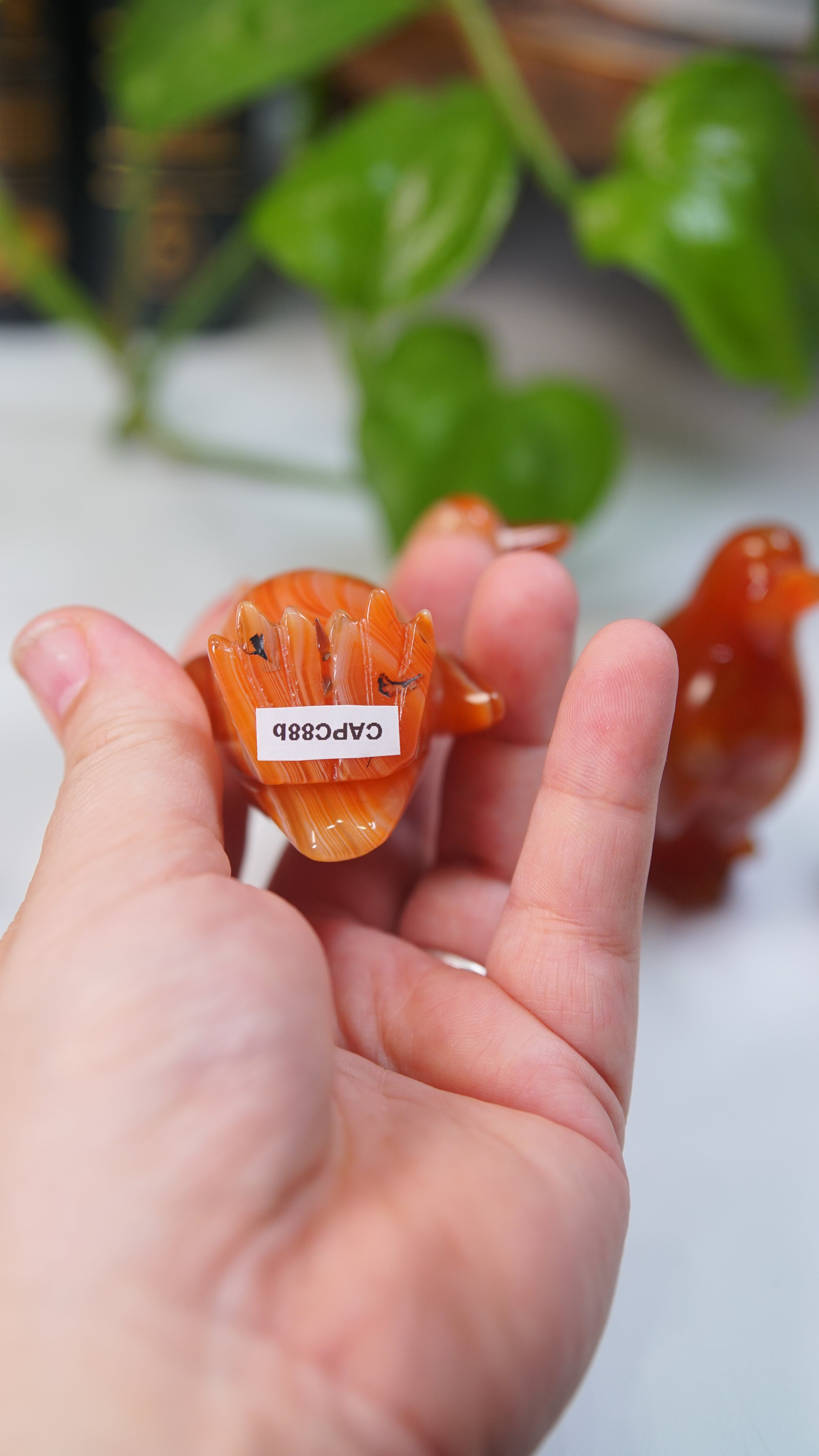 Carnelian Penguins Boutique Carvings