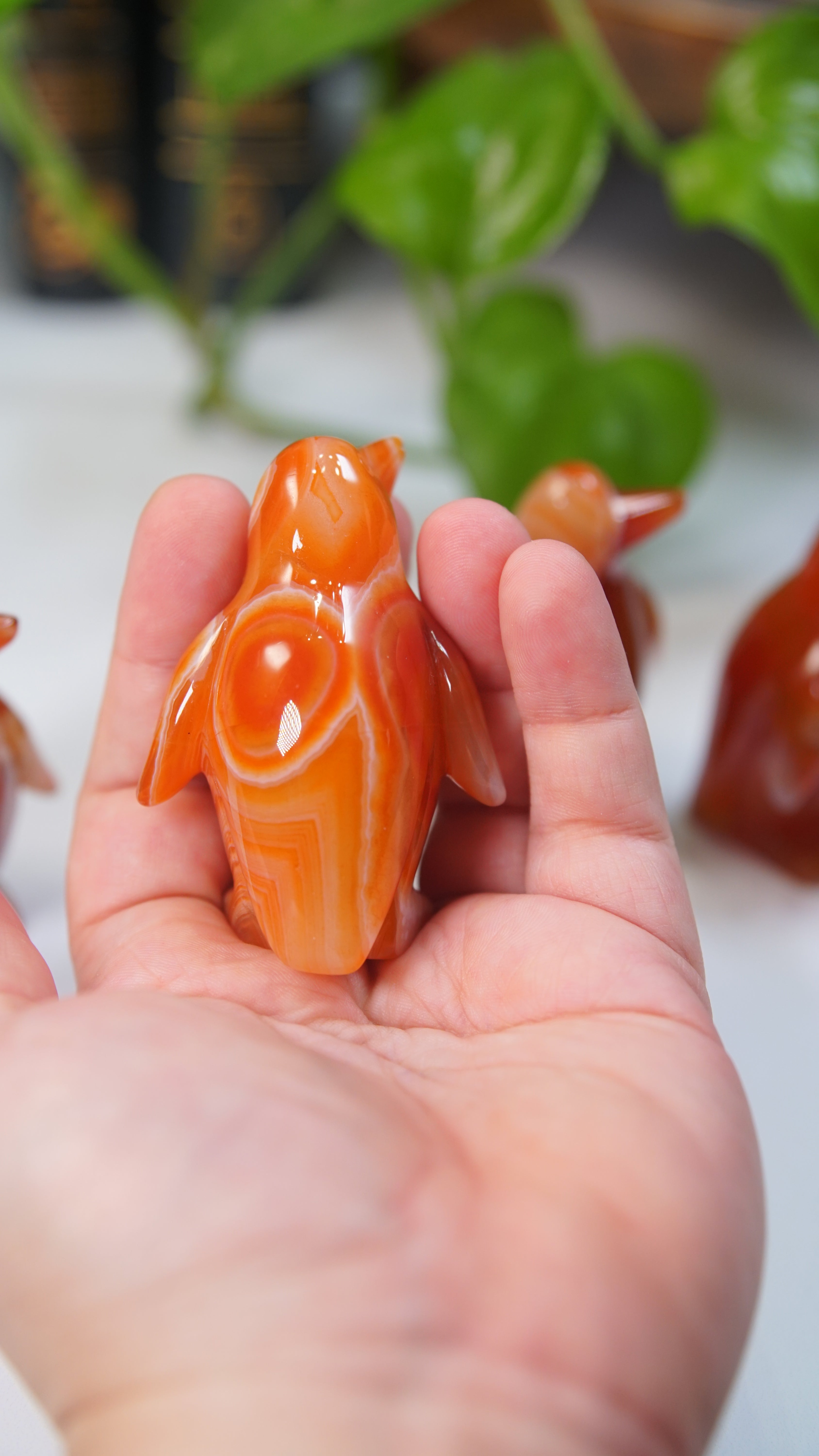 Carnelian Penguins Boutique Carvings