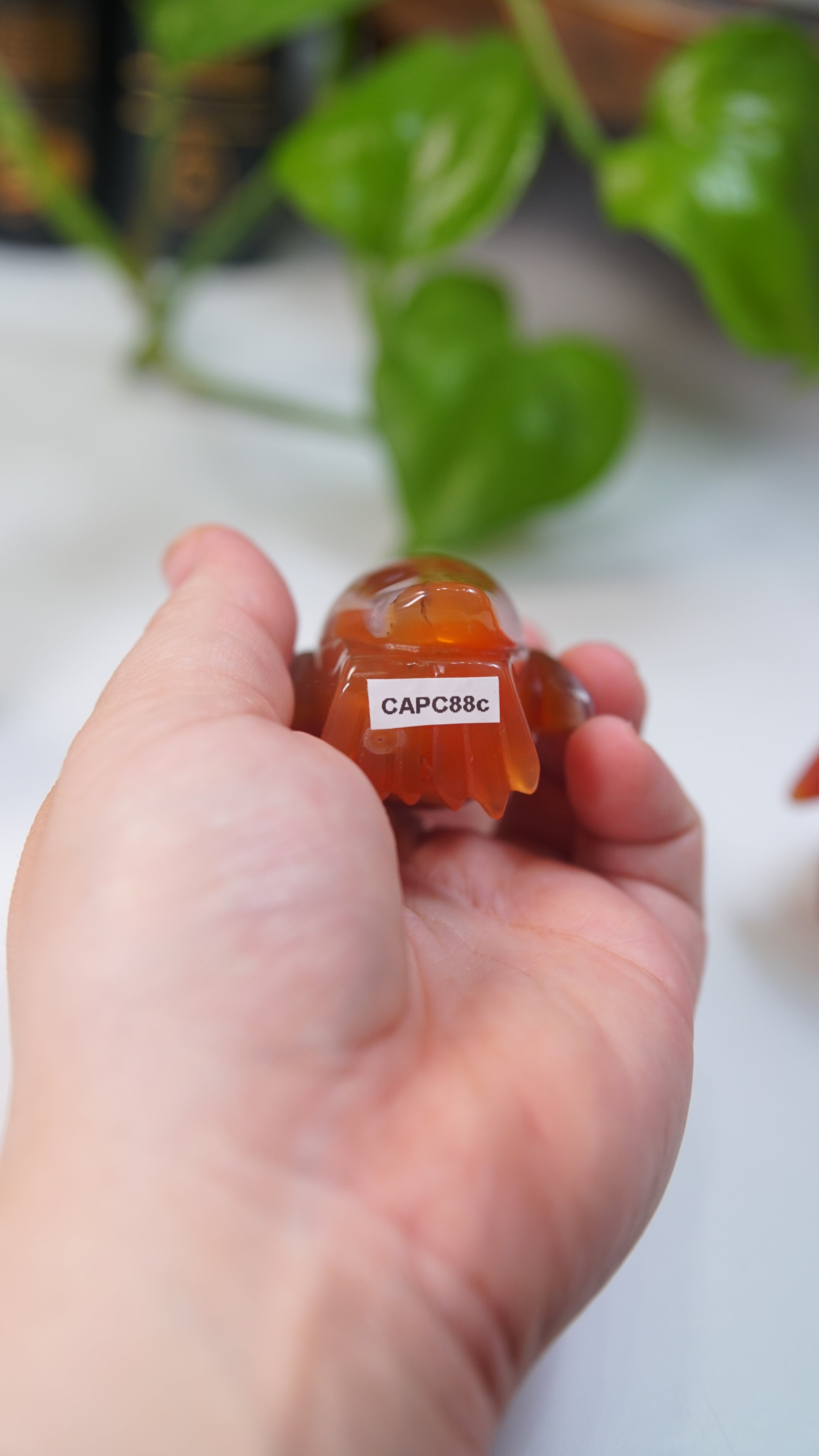 Carnelian Penguins Boutique Carvings