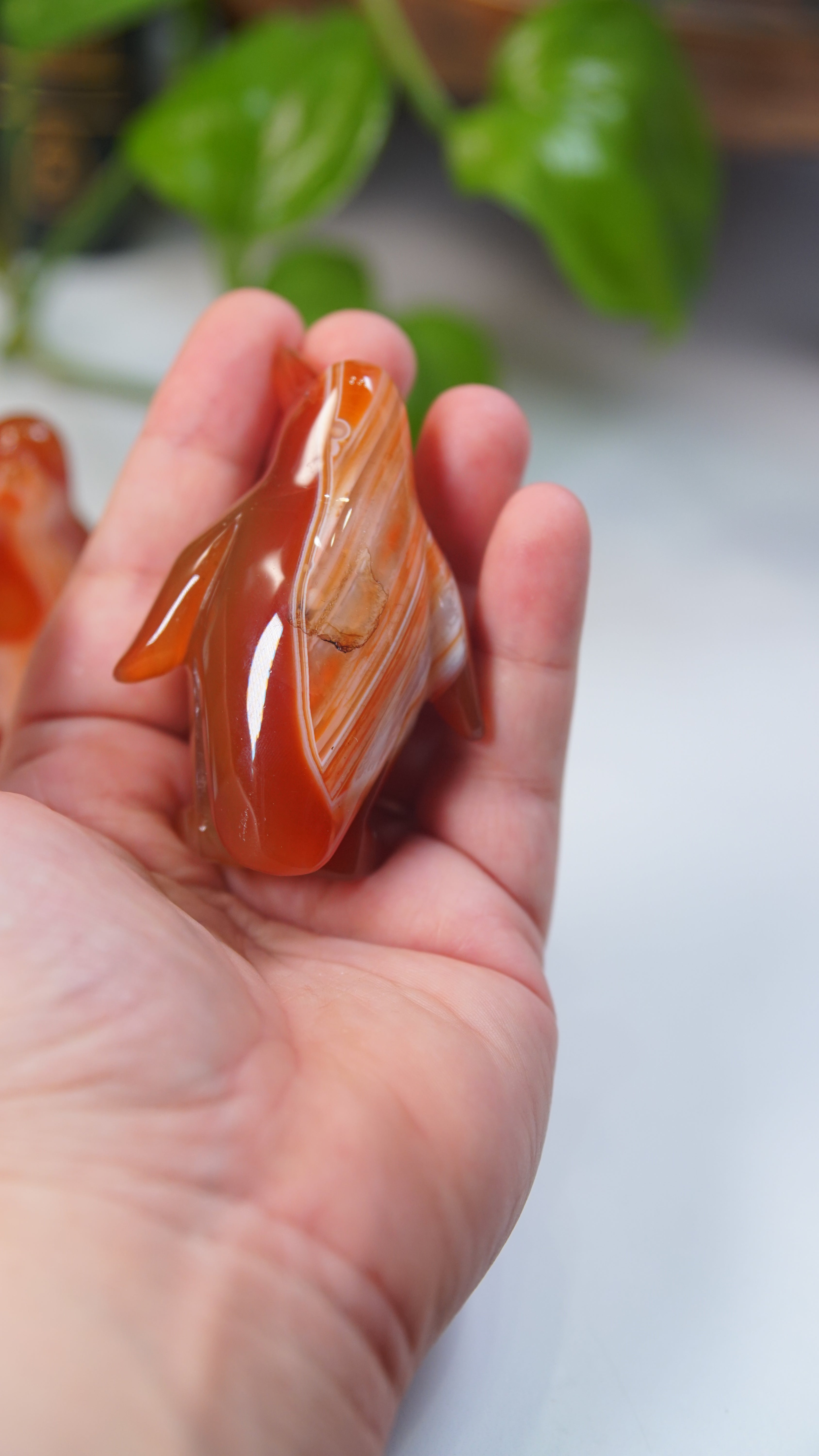 Carnelian Penguins Boutique Carvings