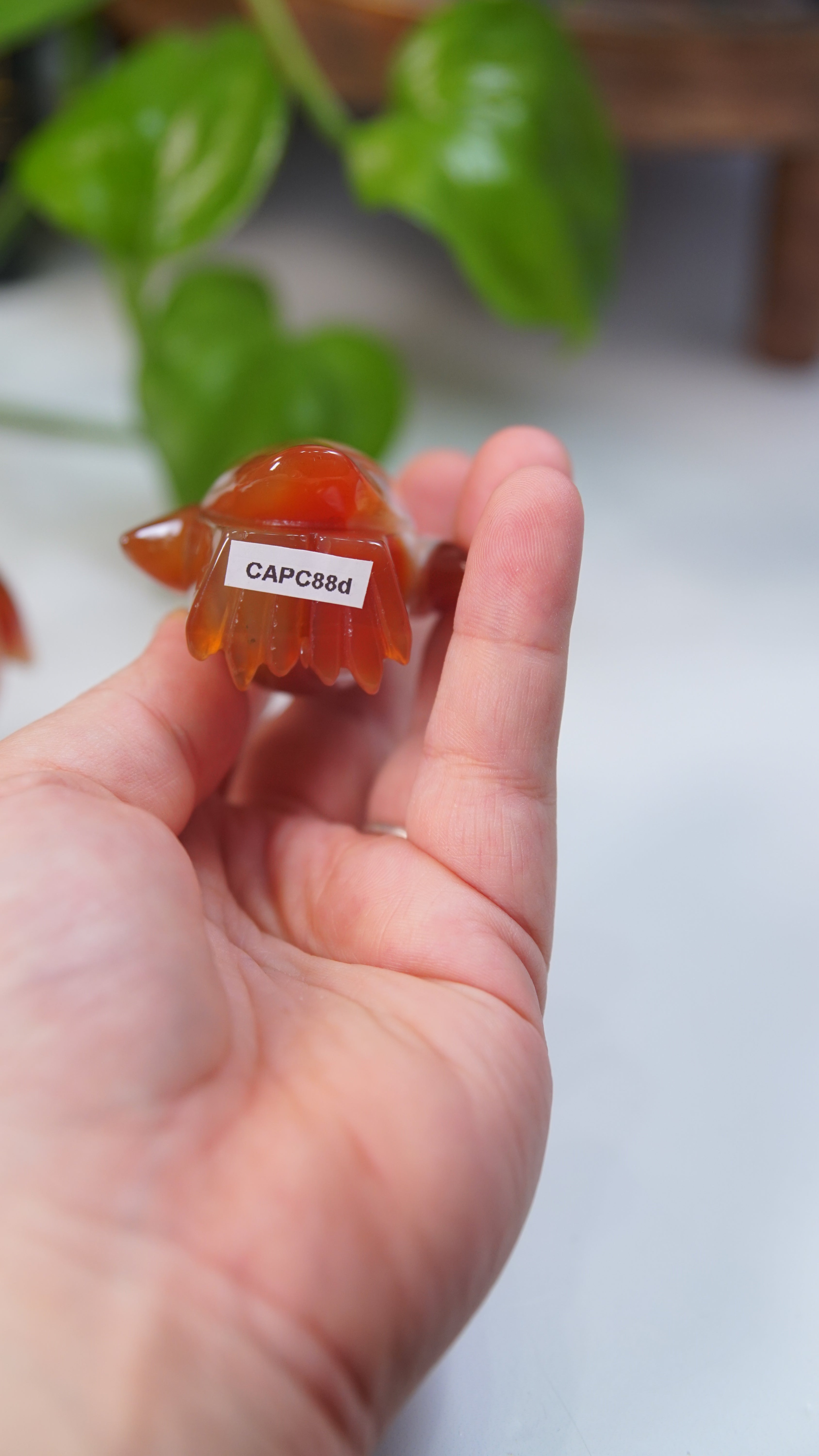 Carnelian Penguins Boutique Carvings