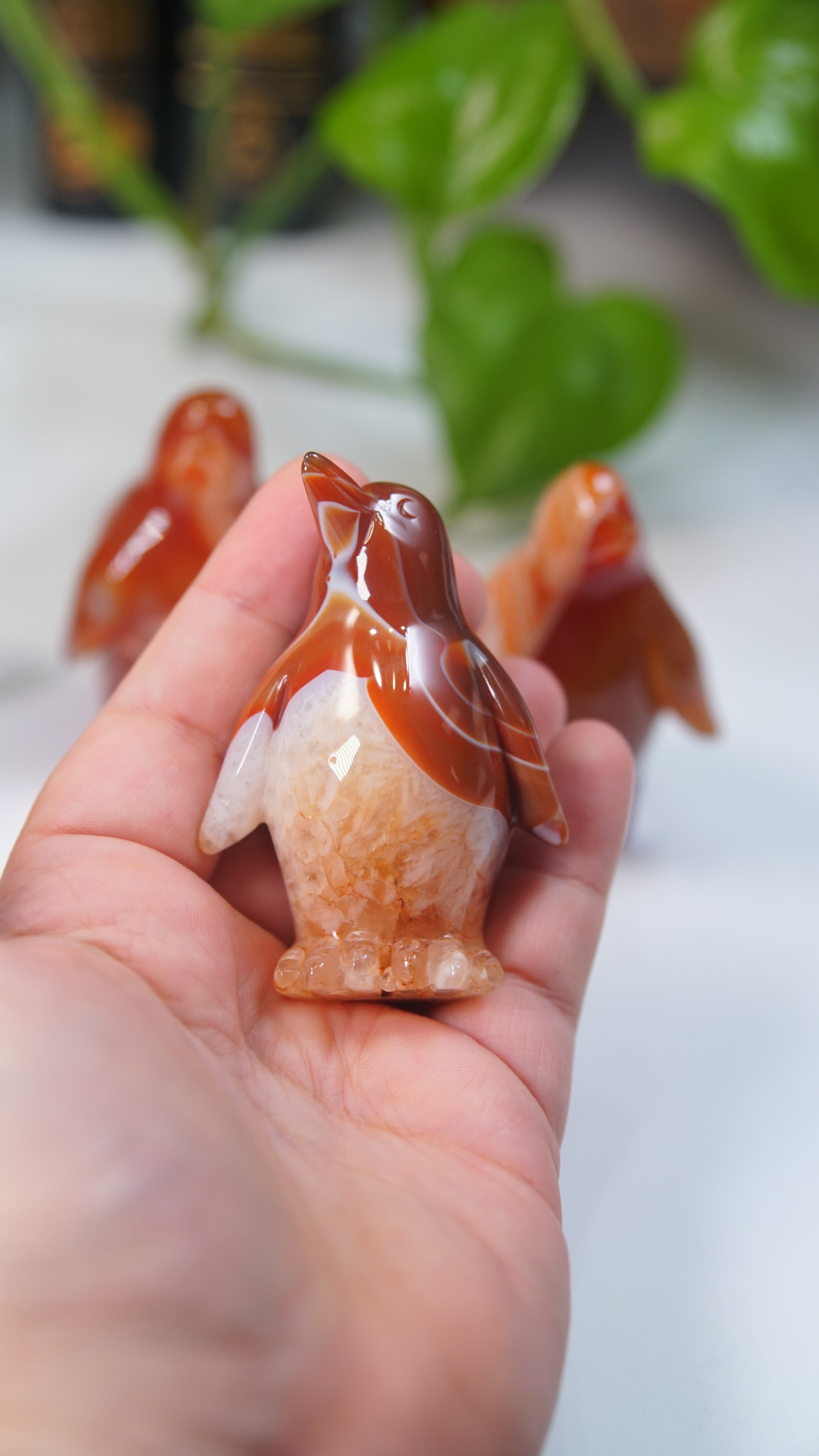 Carnelian Penguins Boutique Carvings