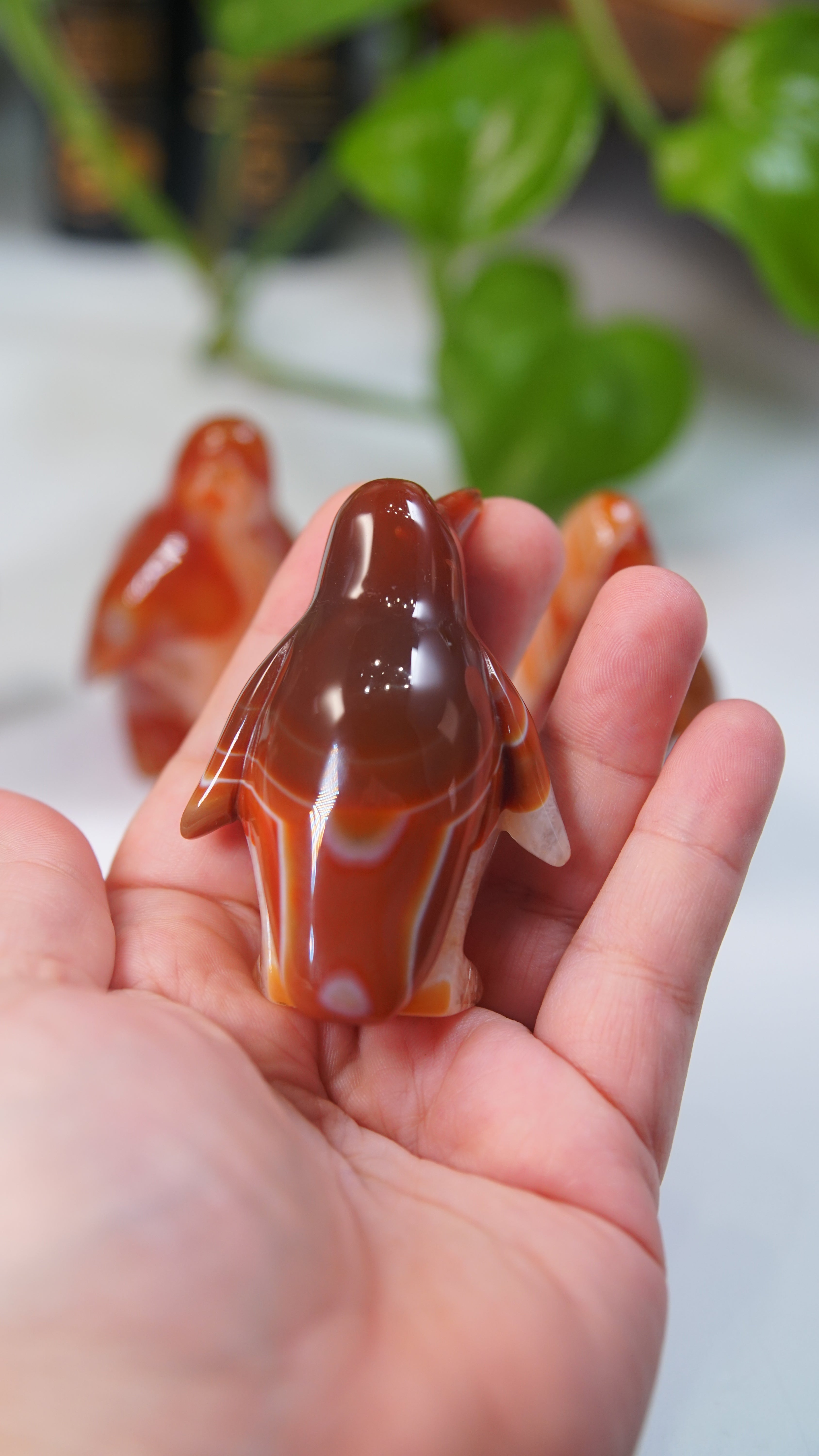Carnelian Penguins Boutique Carvings