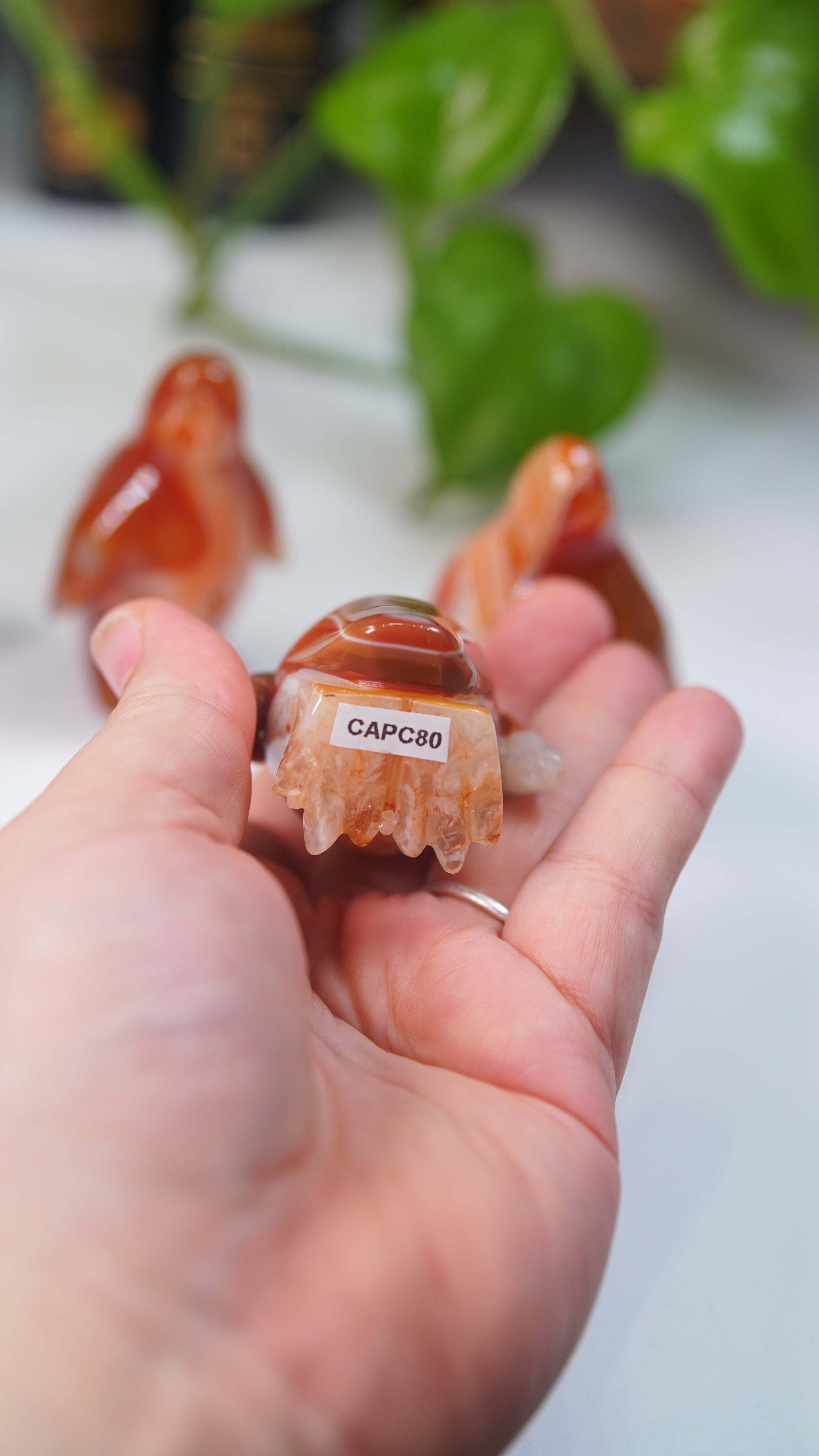 Carnelian Penguins Boutique Carvings