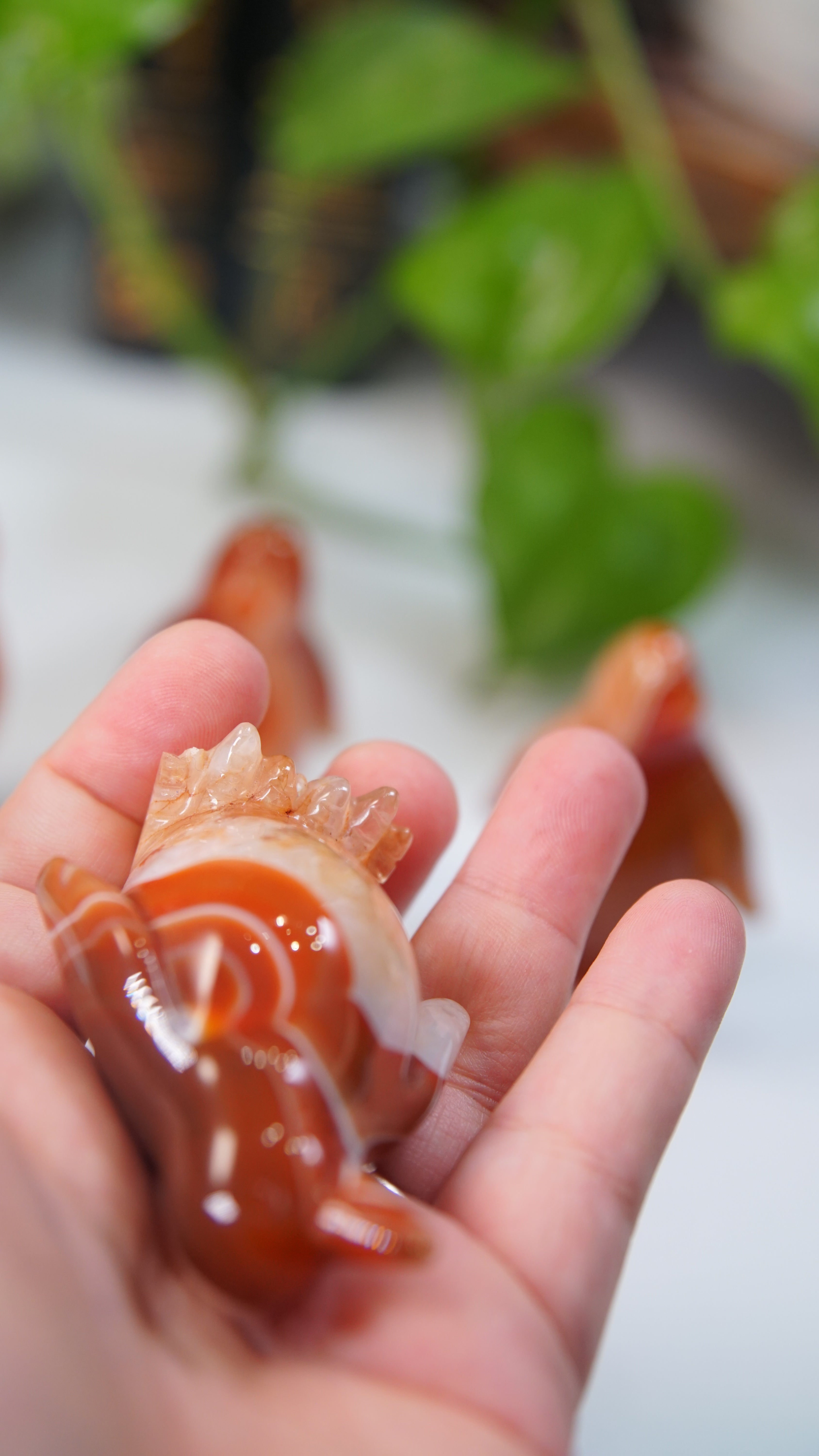 Carnelian Penguins Boutique Carvings