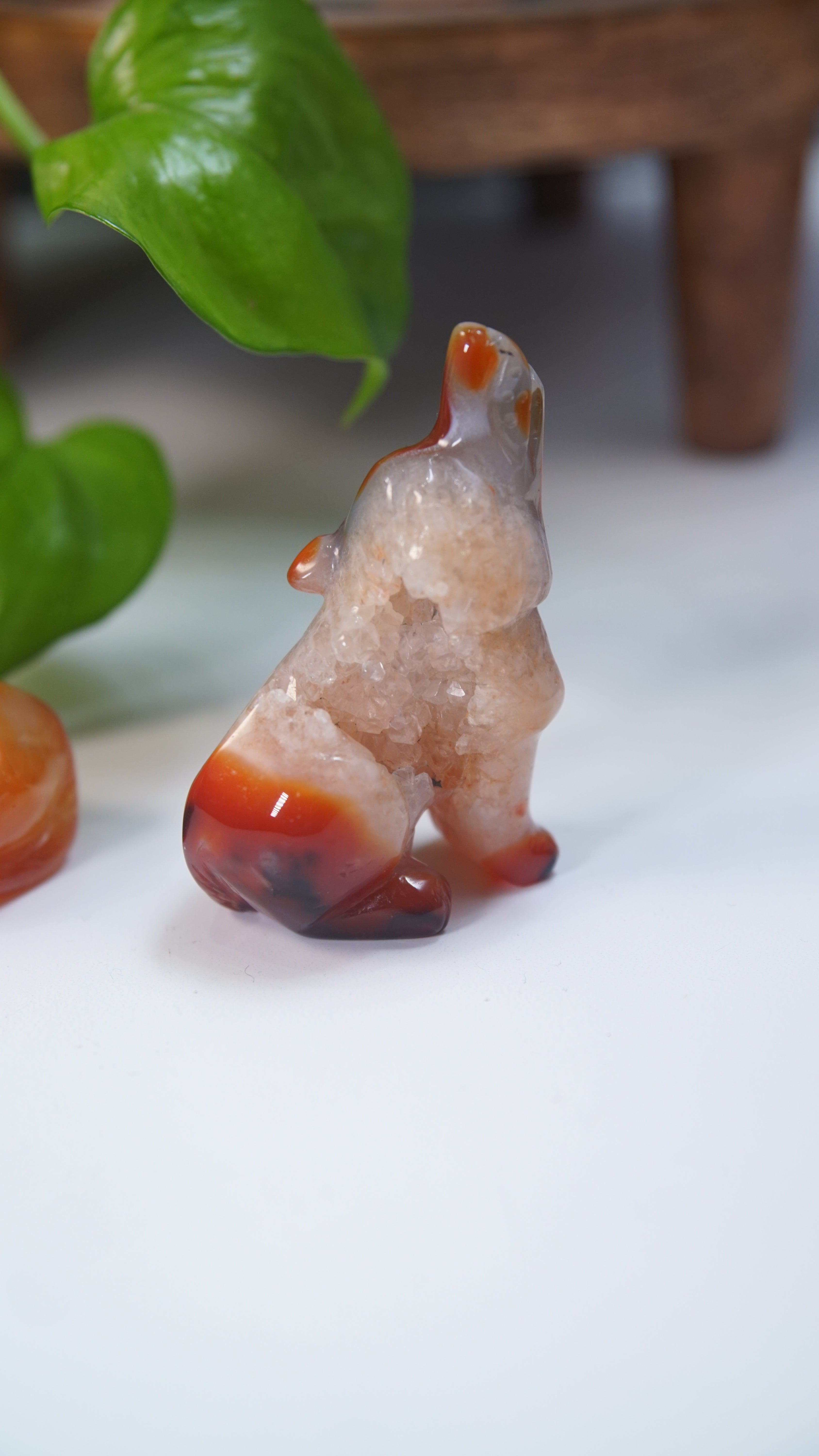 Druzy Carnelian Wolf Boutique Carvings