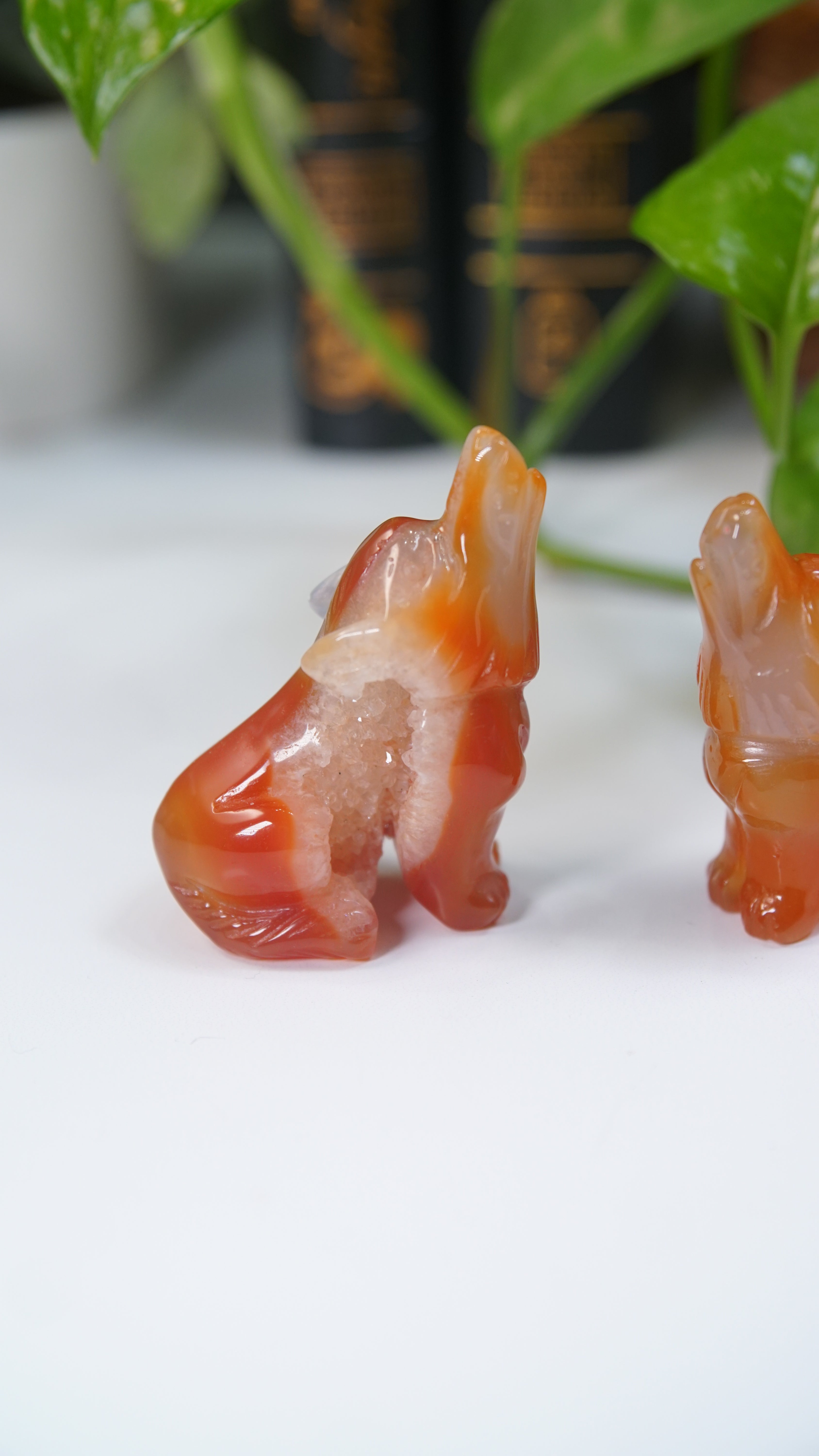 Druzy Carnelian Wolf Boutique Carvings