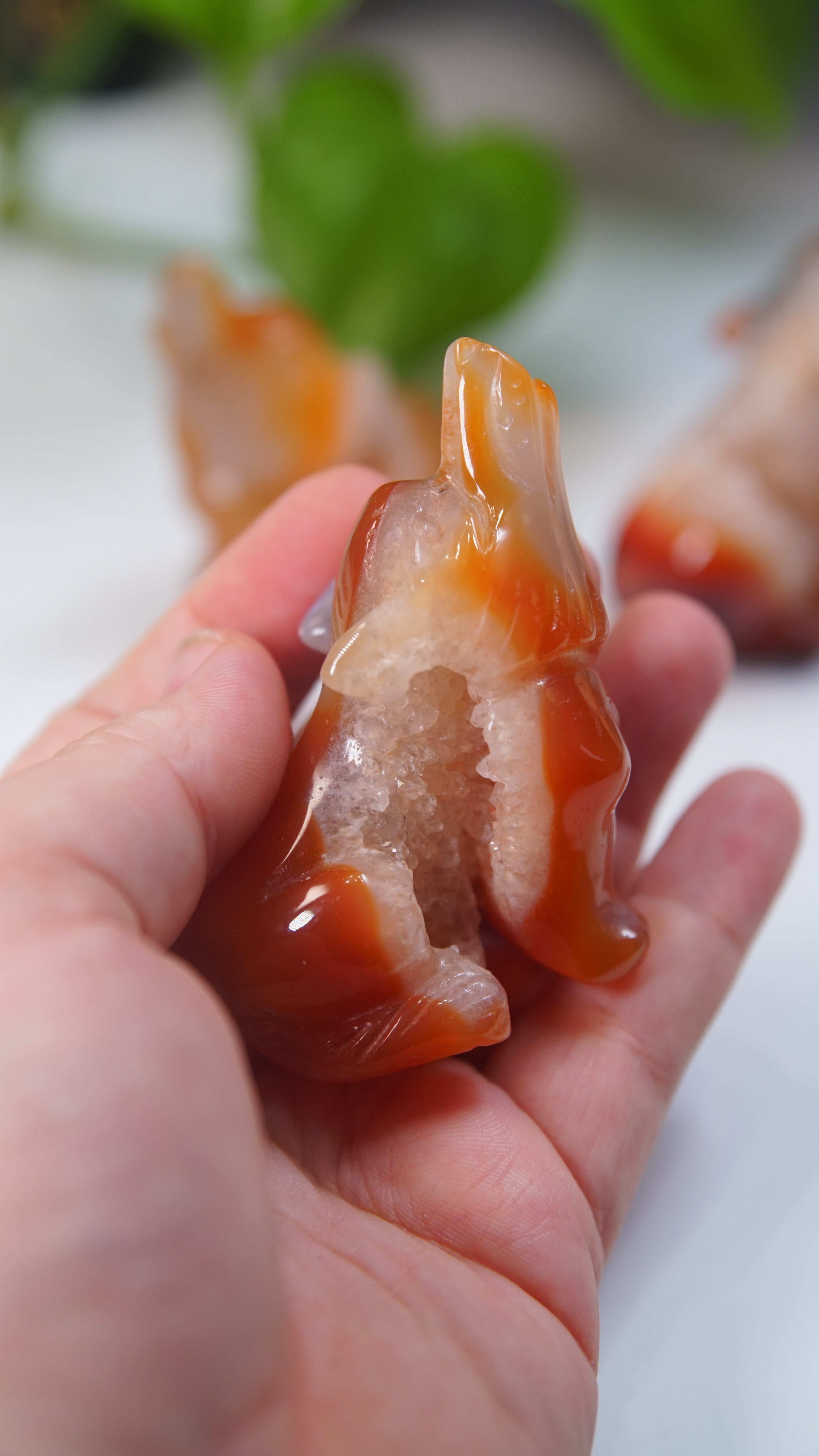Druzy Carnelian Wolf Boutique Carvings