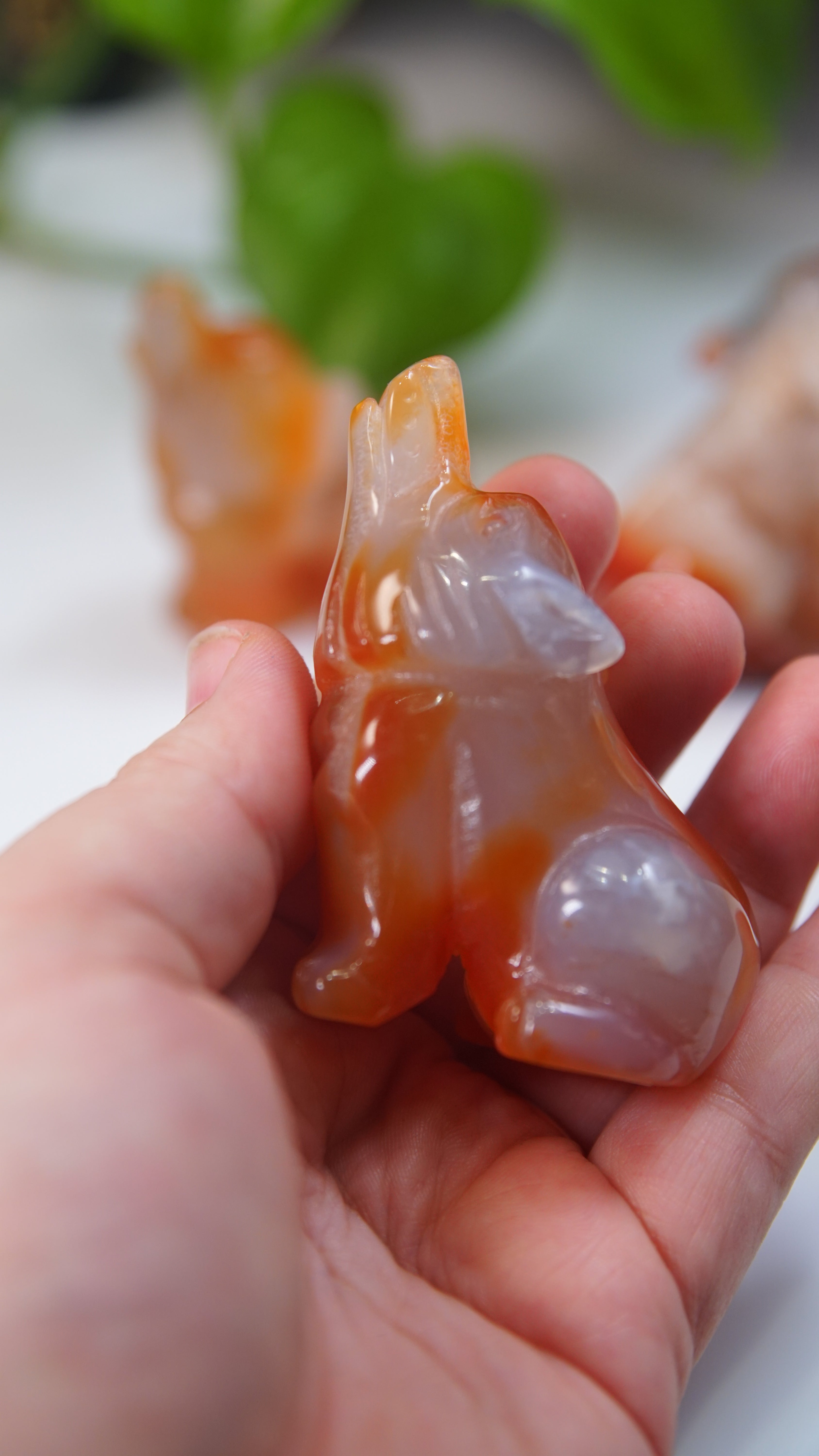 Druzy Carnelian Wolf Boutique Carvings