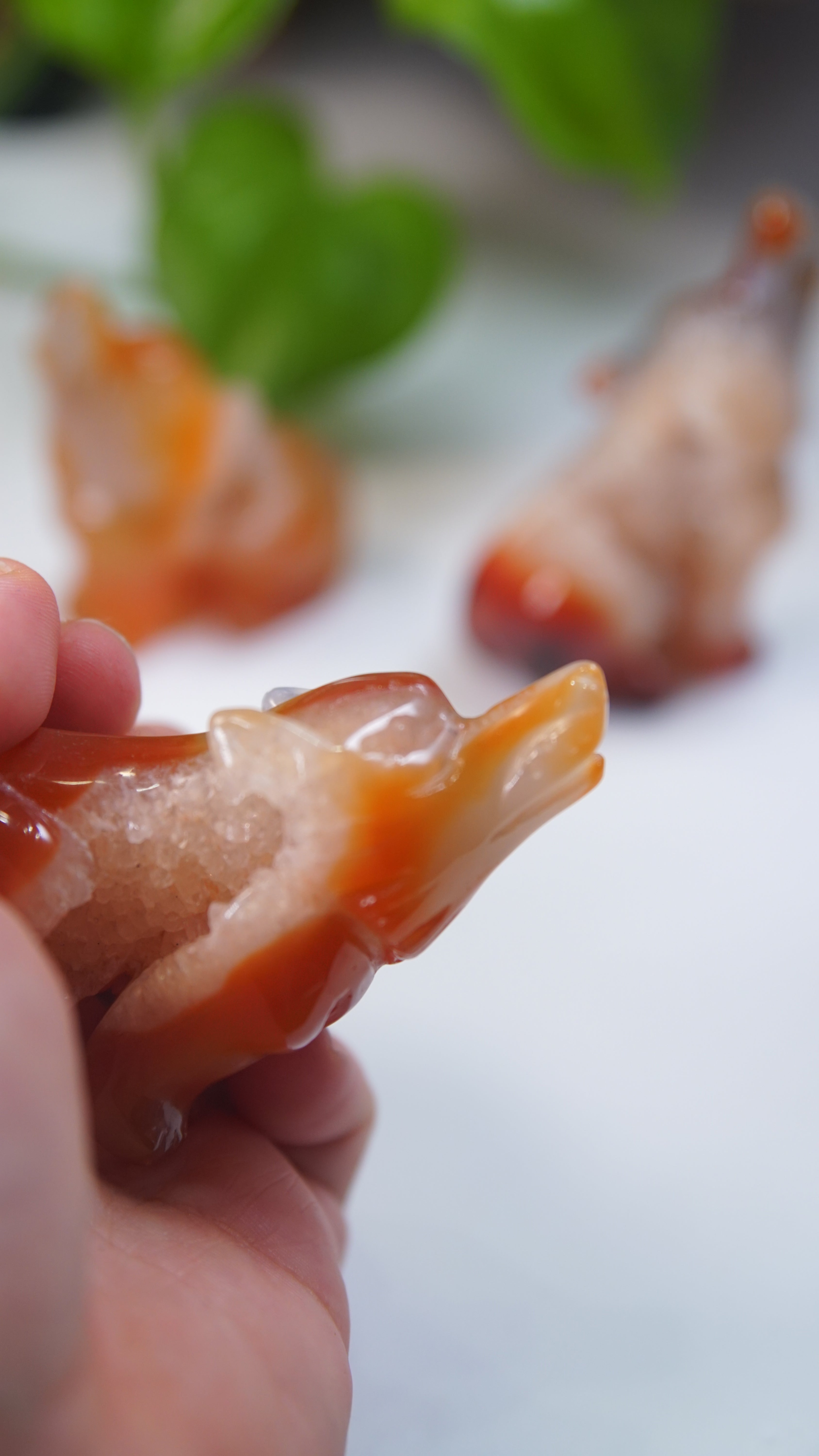 Druzy Carnelian Wolf Boutique Carvings