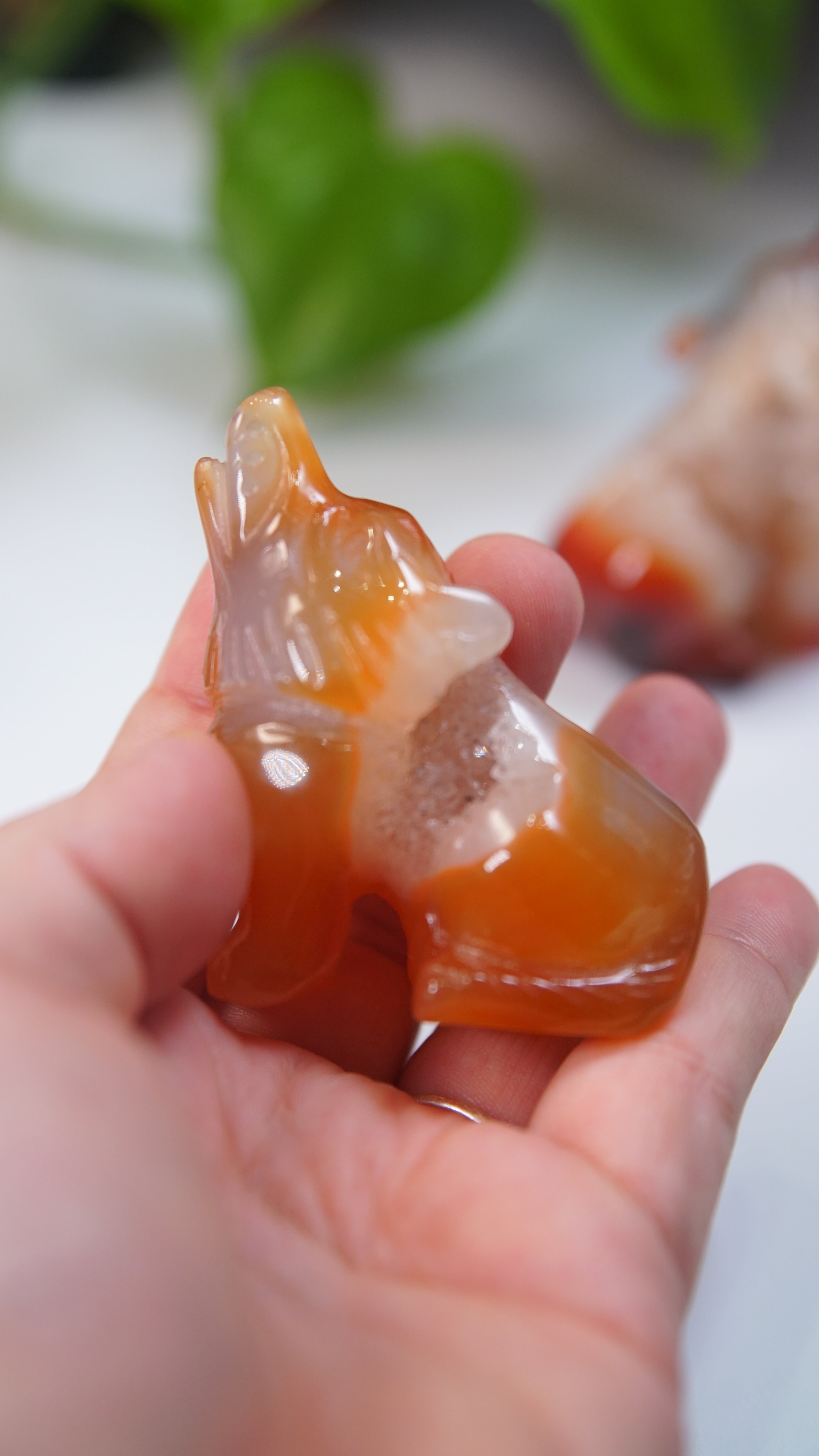 Druzy Carnelian Wolf Boutique Carvings