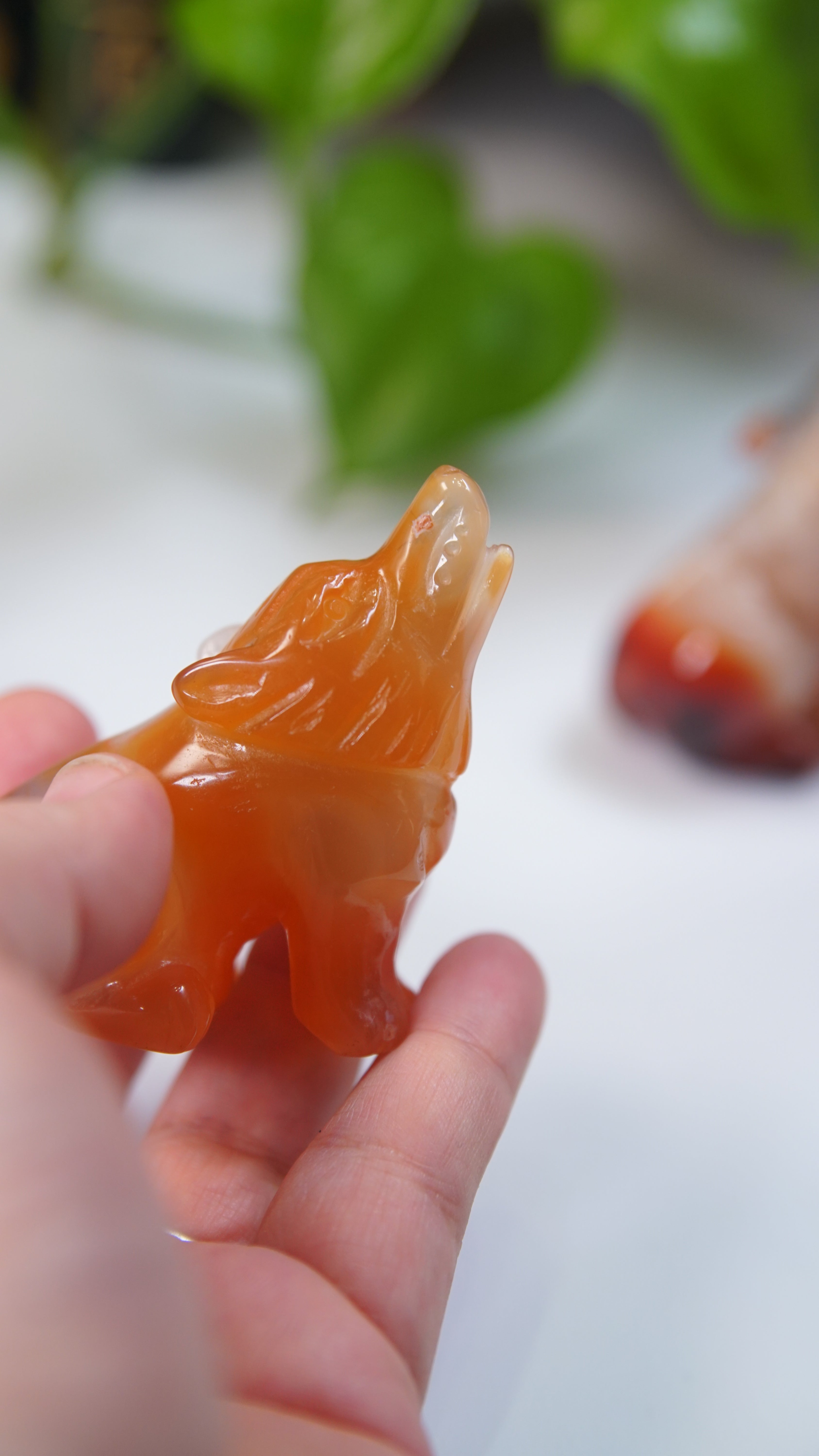 Druzy Carnelian Wolf Boutique Carvings