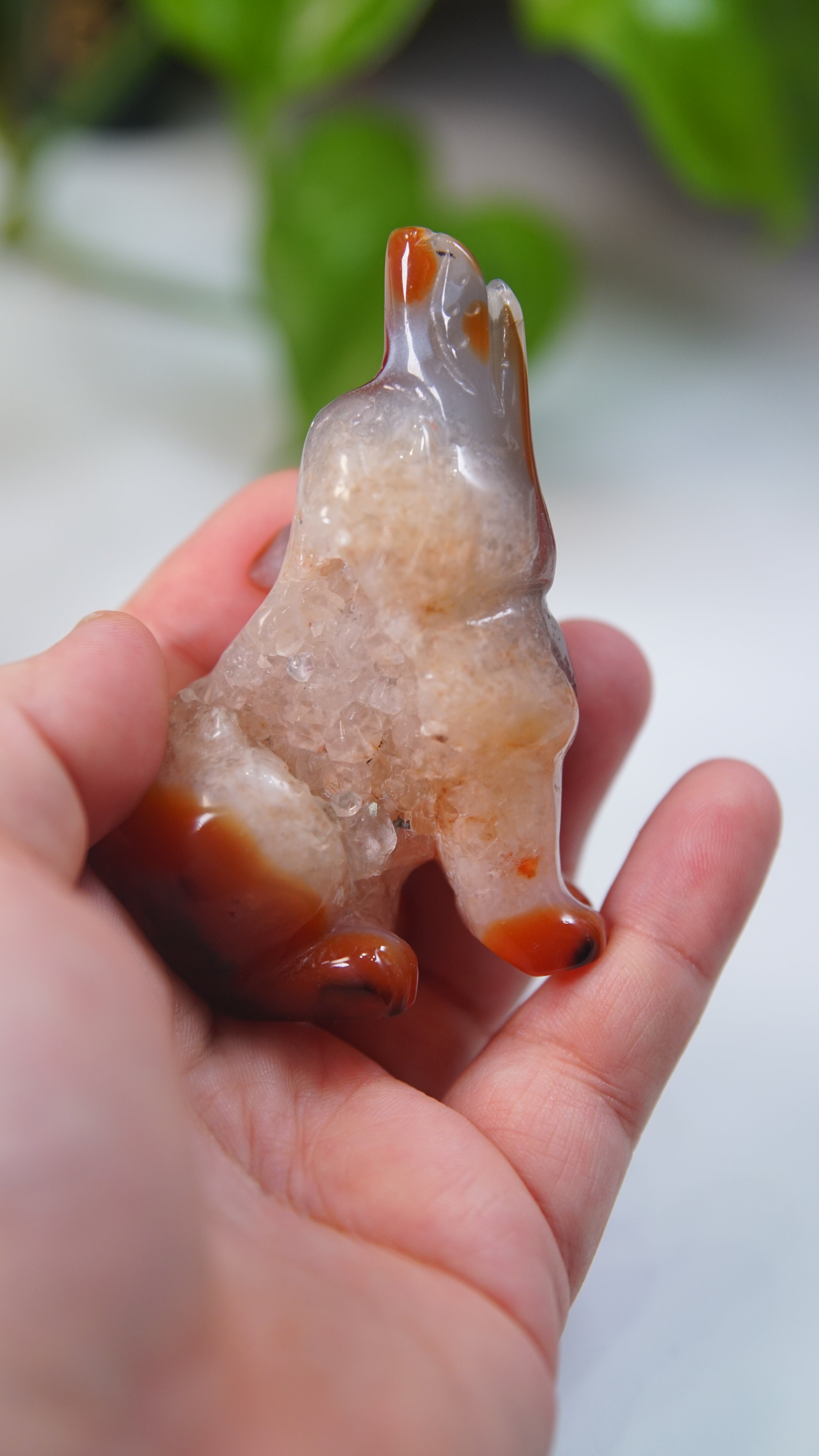 Druzy Carnelian Wolf Boutique Carvings