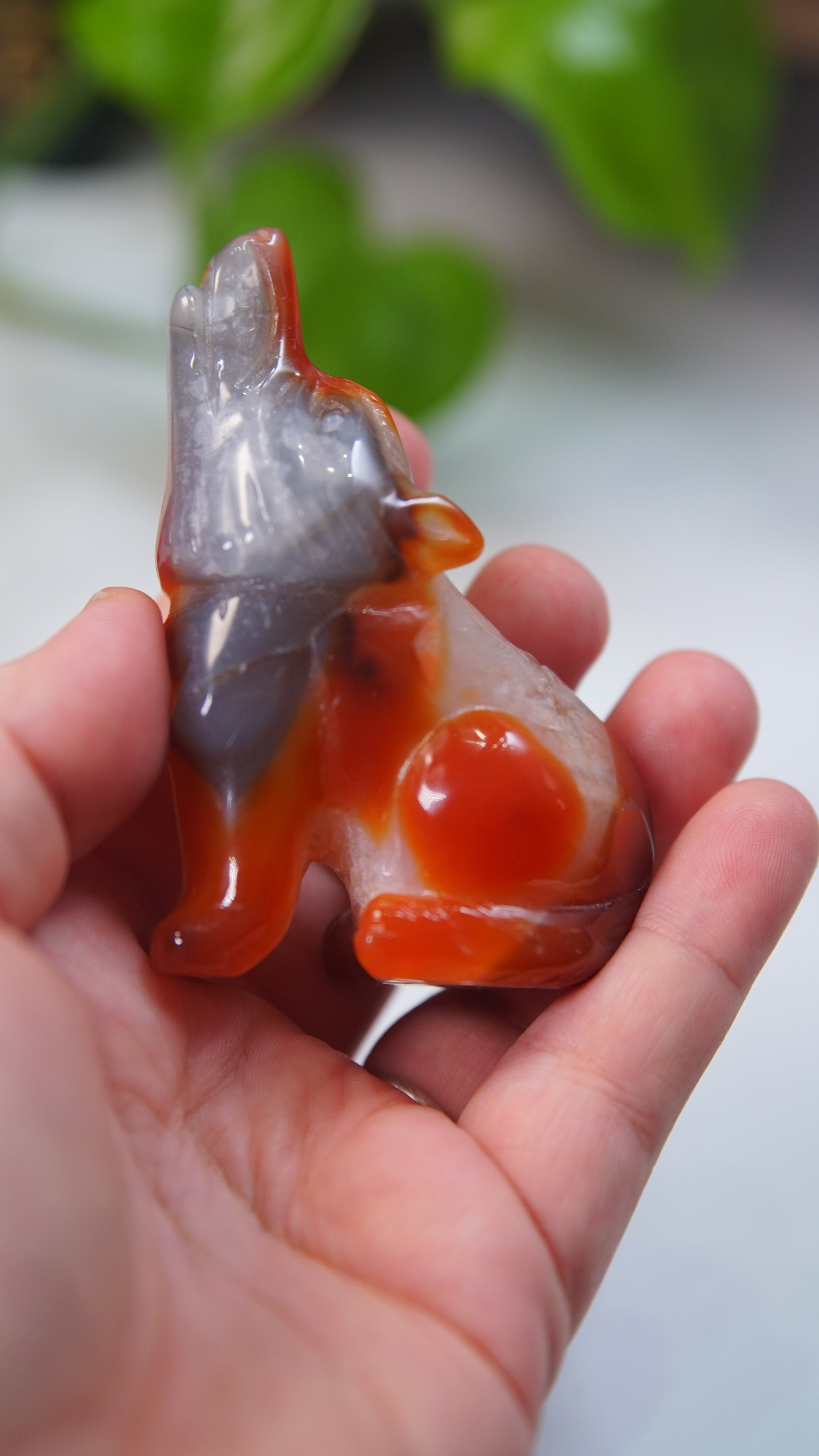 Druzy Carnelian Wolf Boutique Carvings
