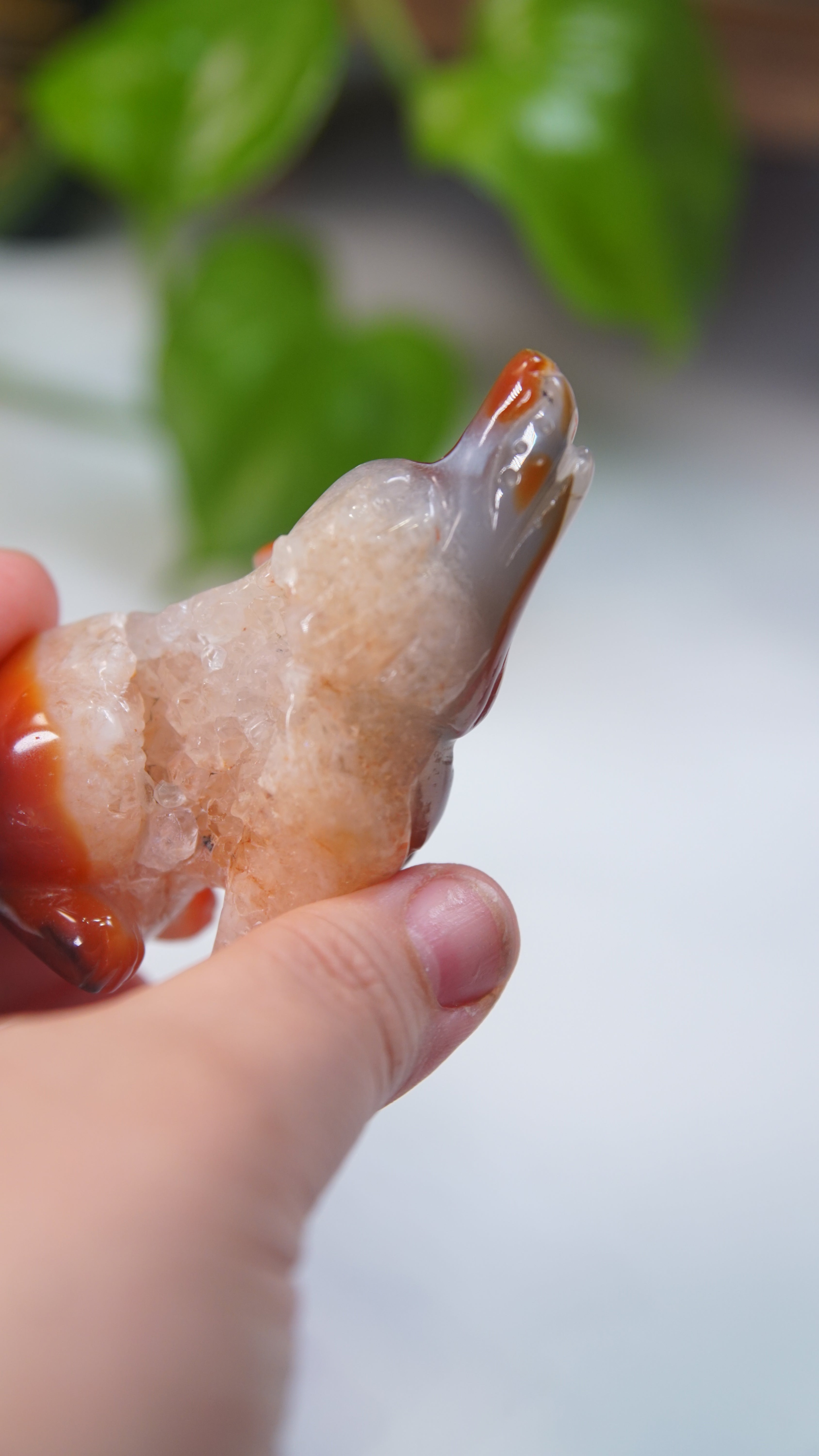 Druzy Carnelian Wolf Boutique Carvings