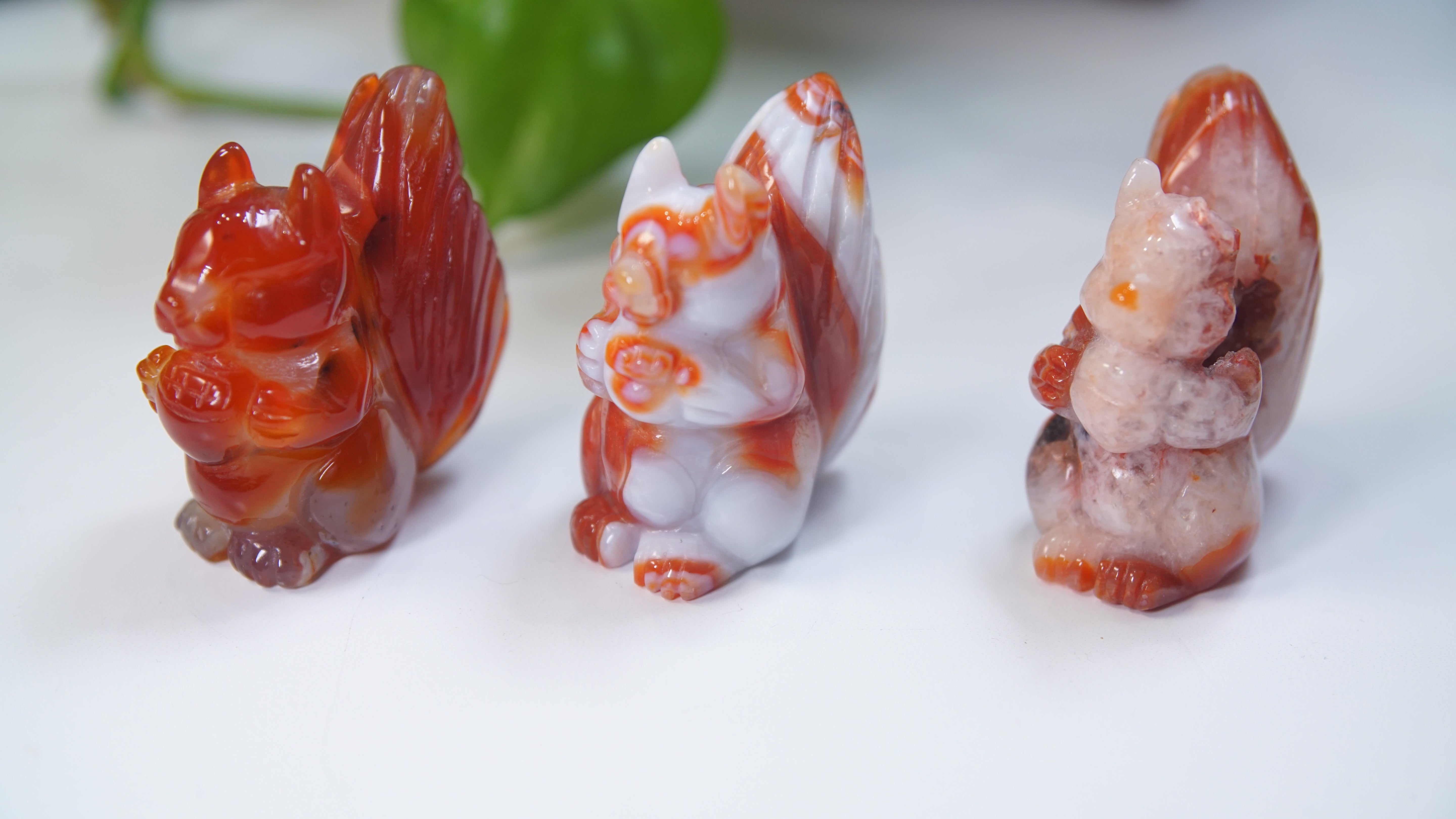 Druzy Carnelian Squirrel Boutique Carvings