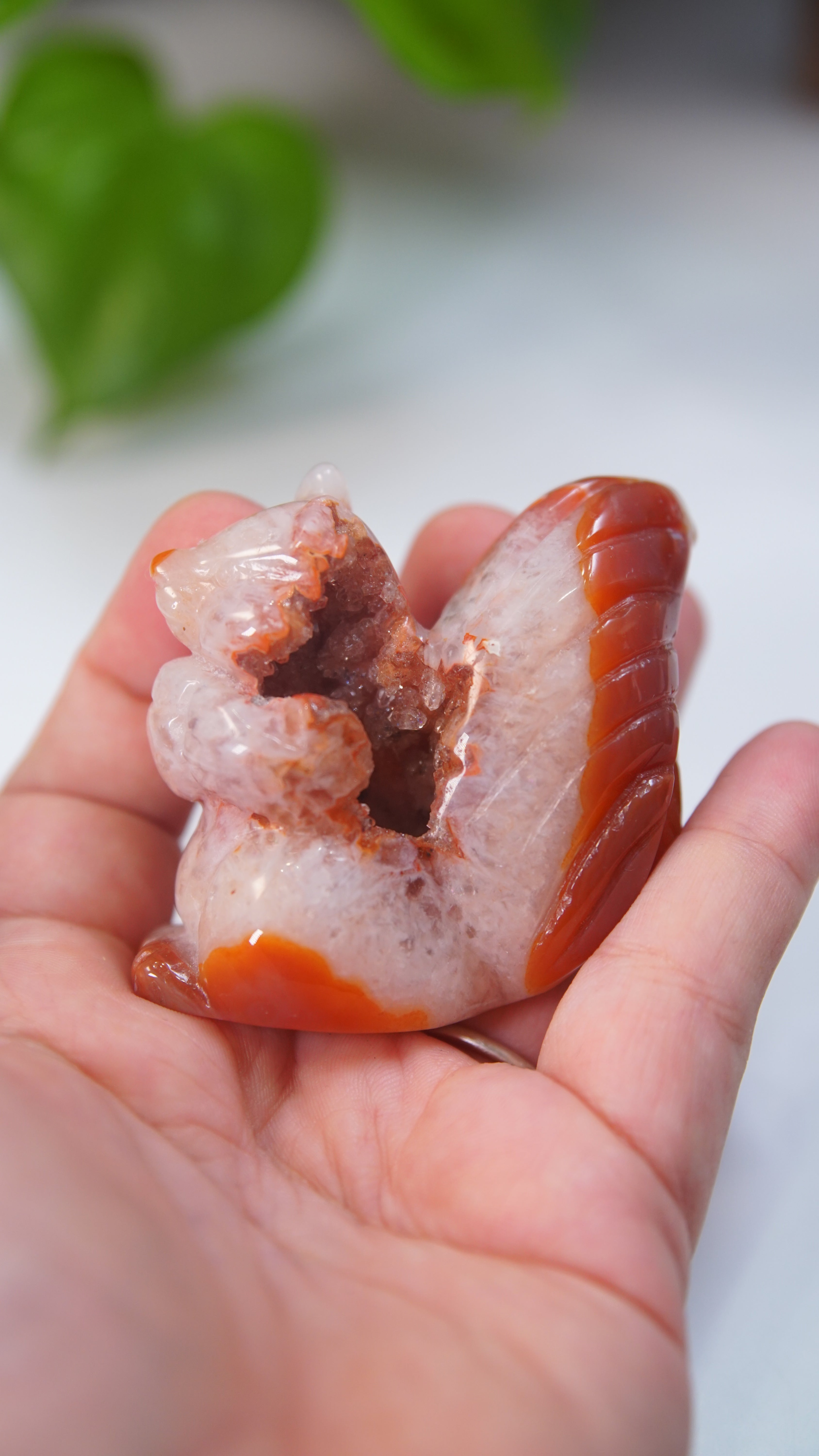 Druzy Carnelian Squirrel Boutique Carvings
