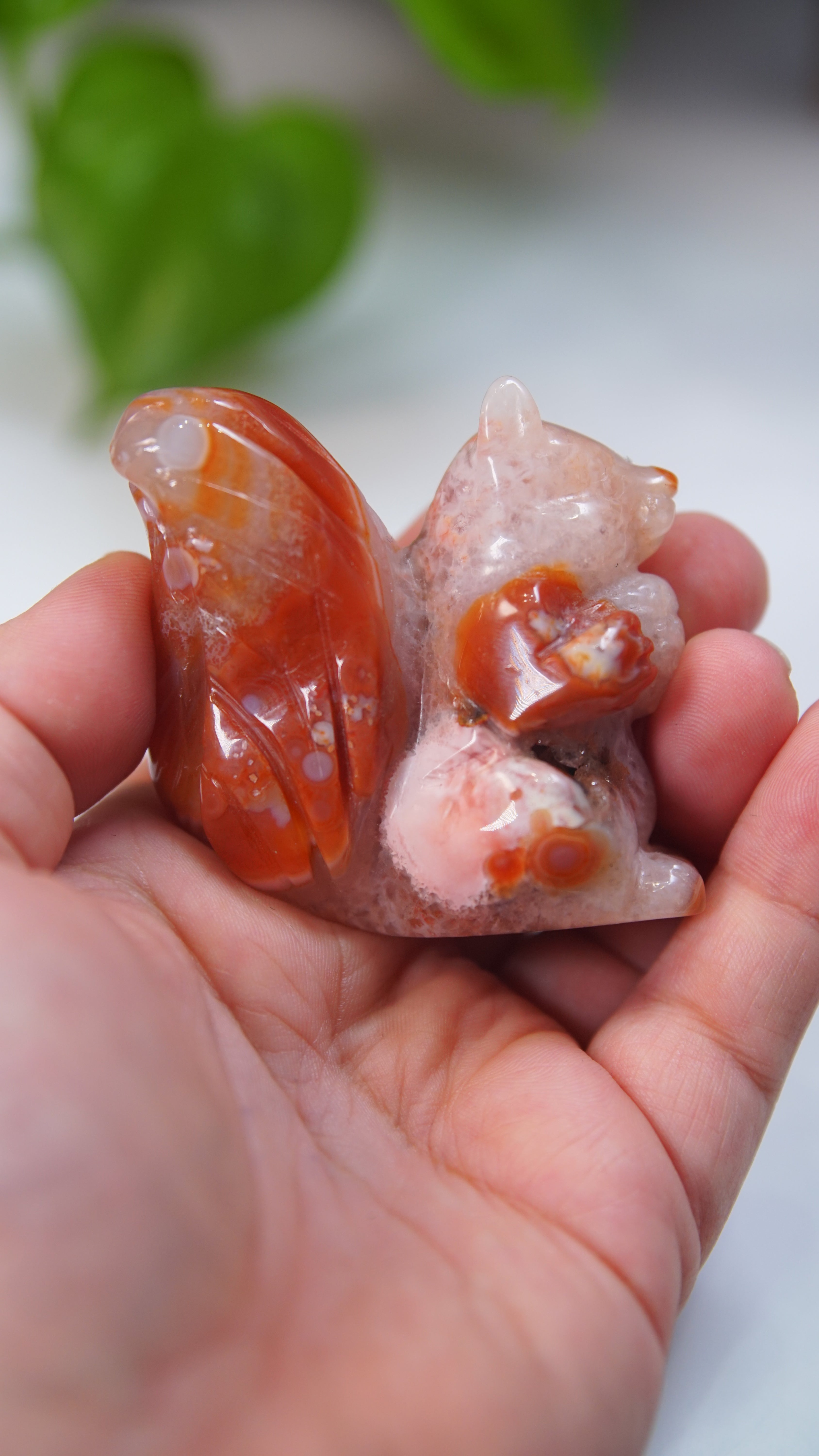 Druzy Carnelian Squirrel Boutique Carvings