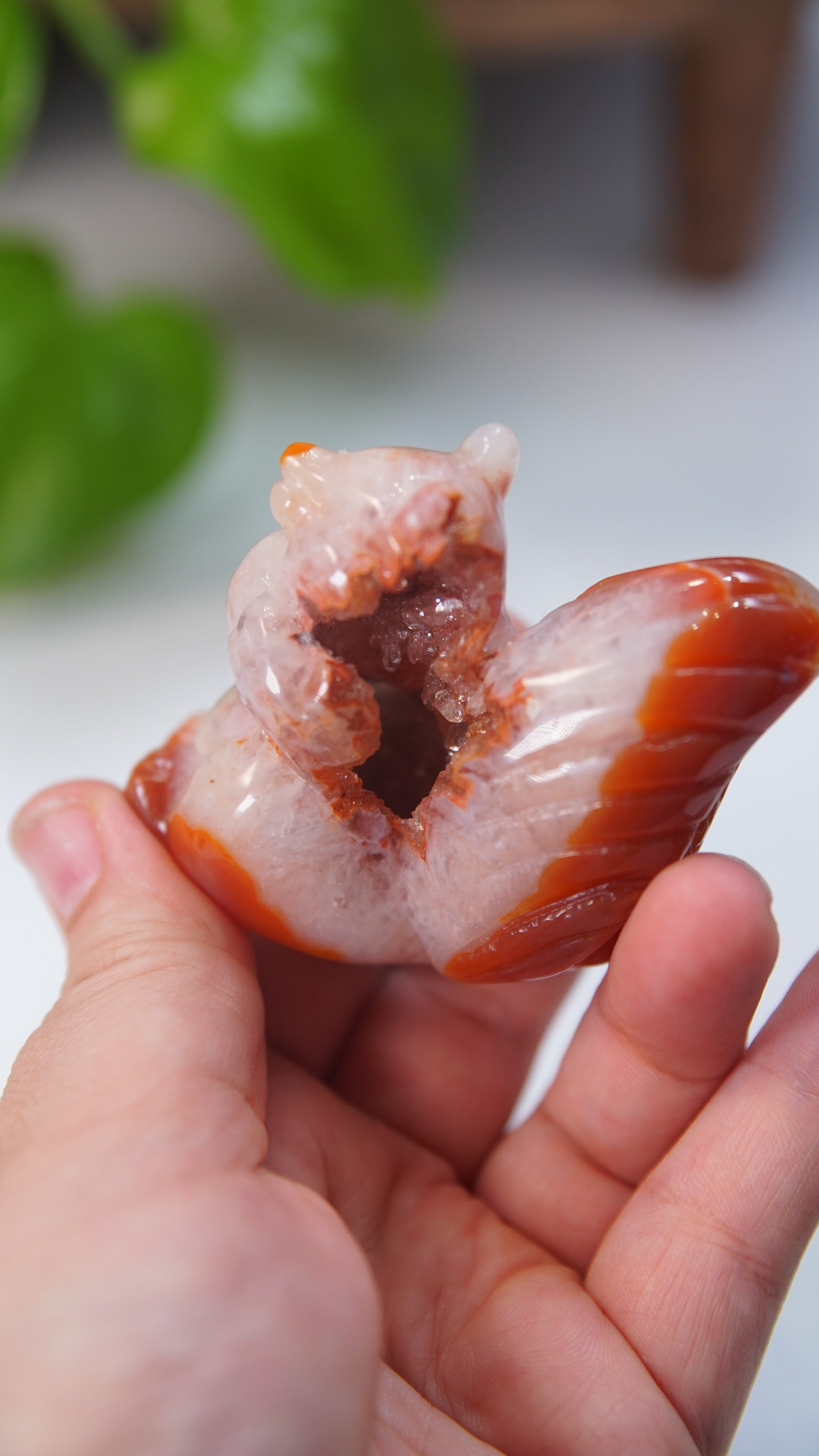 Druzy Carnelian Squirrel Boutique Carvings