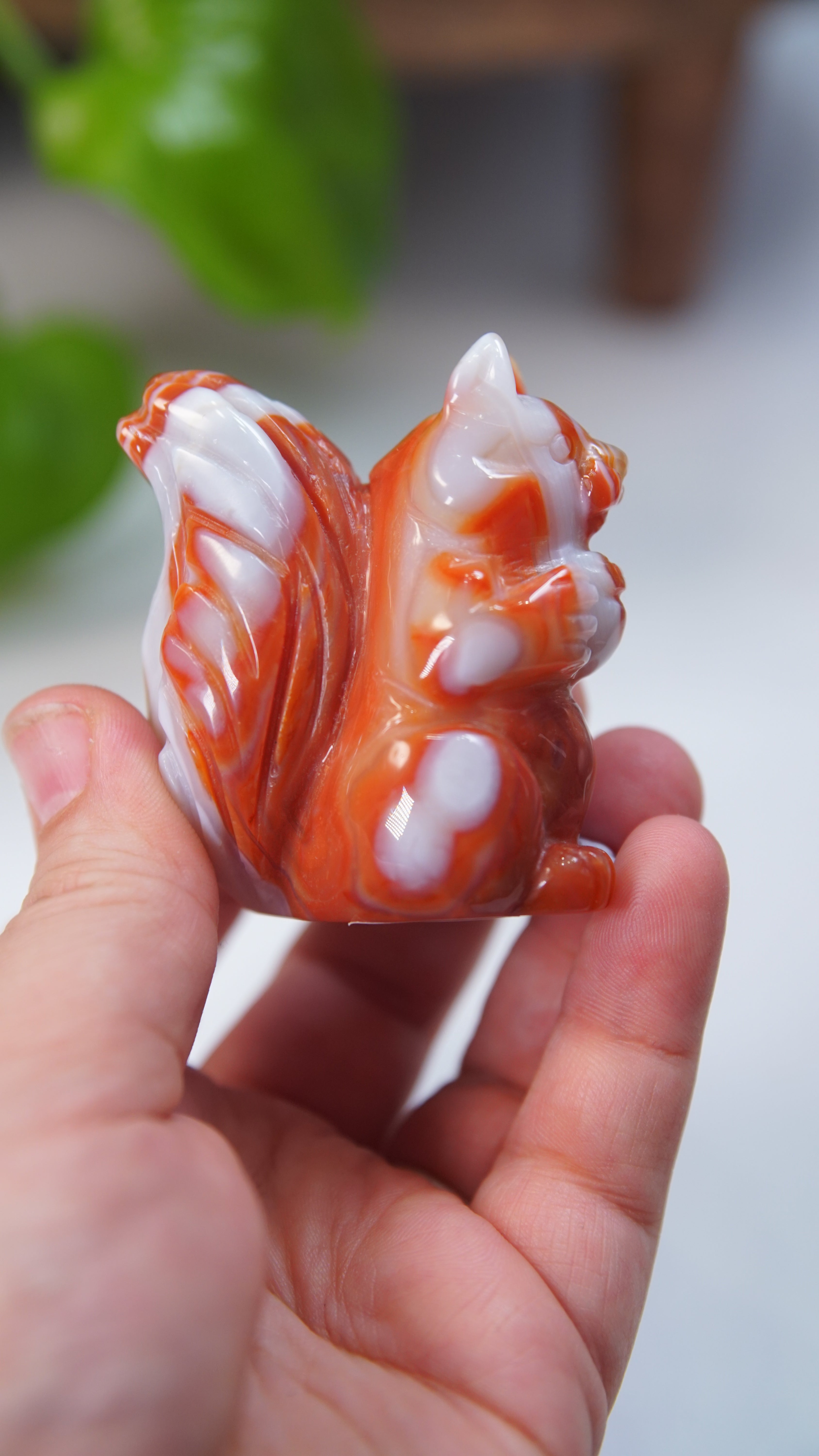 Druzy Carnelian Squirrel Boutique Carvings