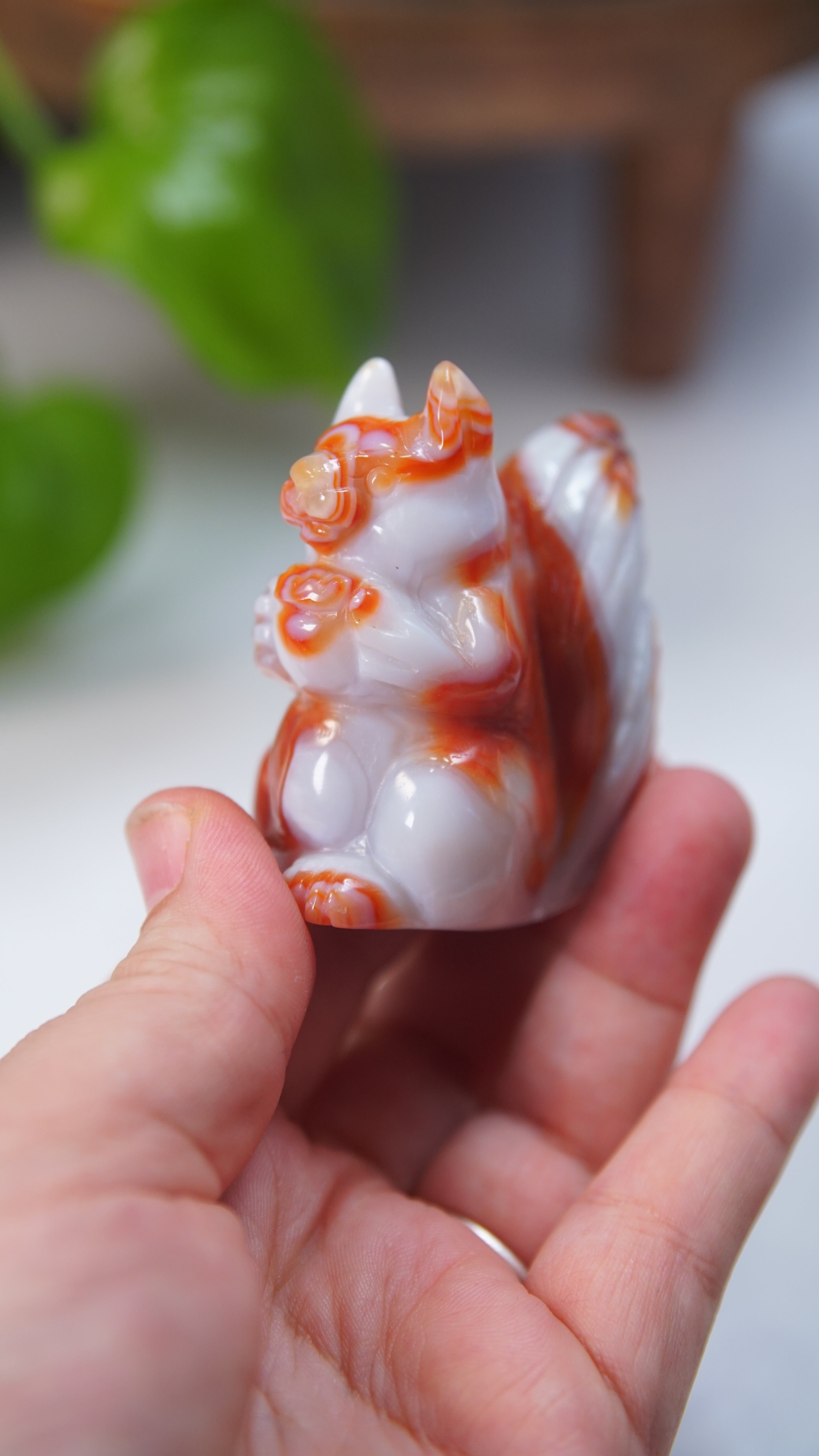 Druzy Carnelian Squirrel Boutique Carvings