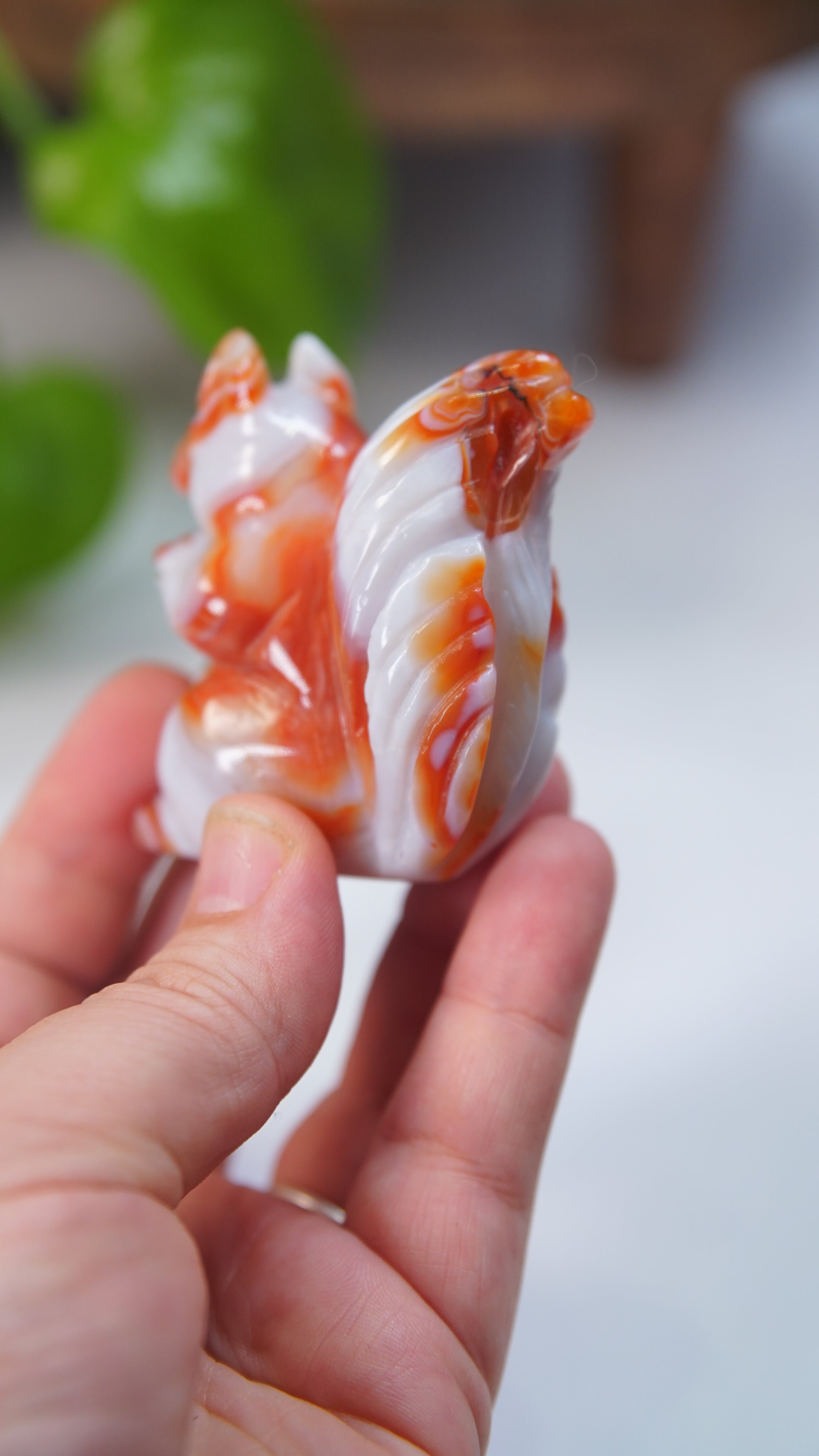 Druzy Carnelian Squirrel Boutique Carvings