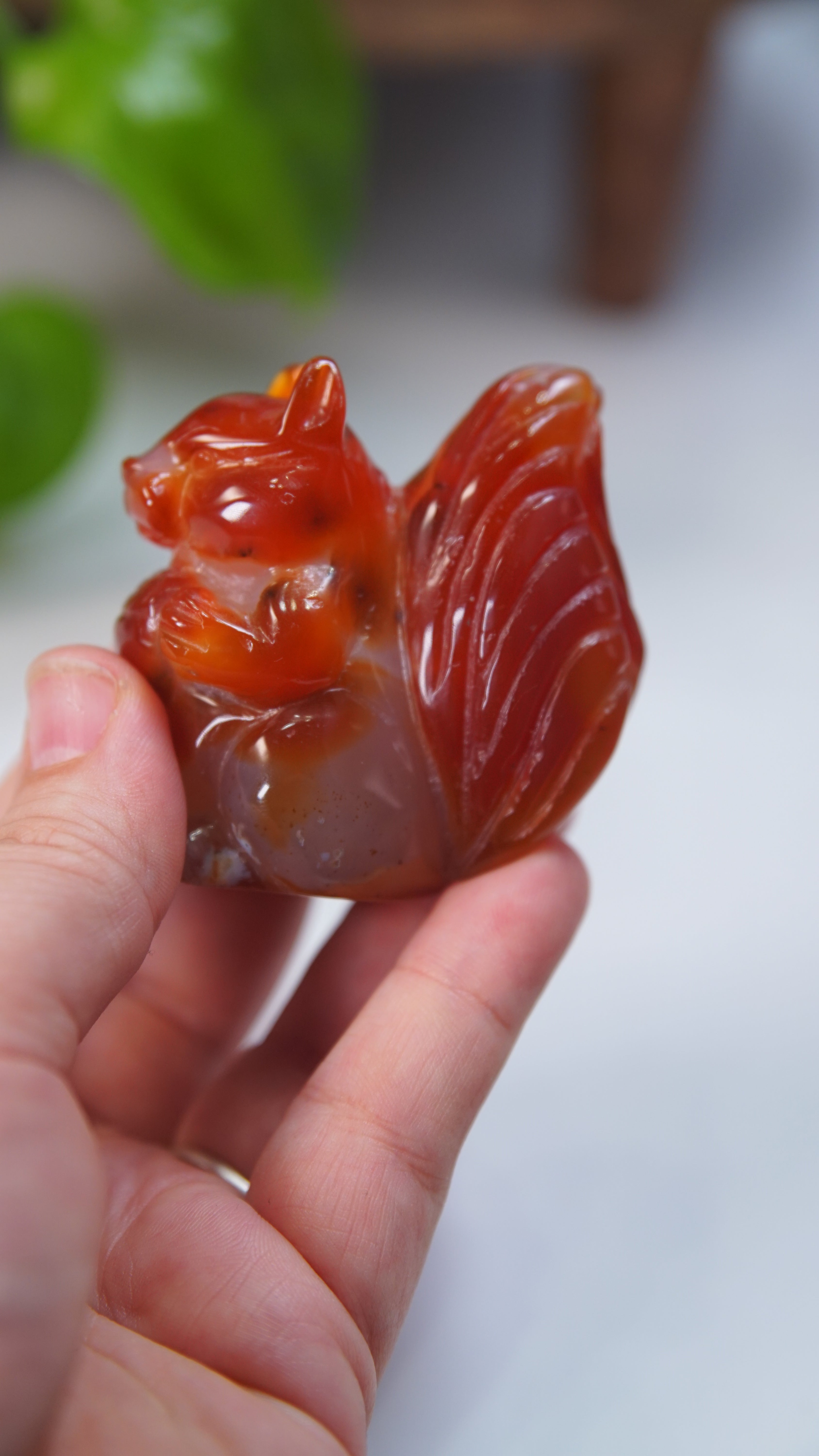 Druzy Carnelian Squirrel Boutique Carvings
