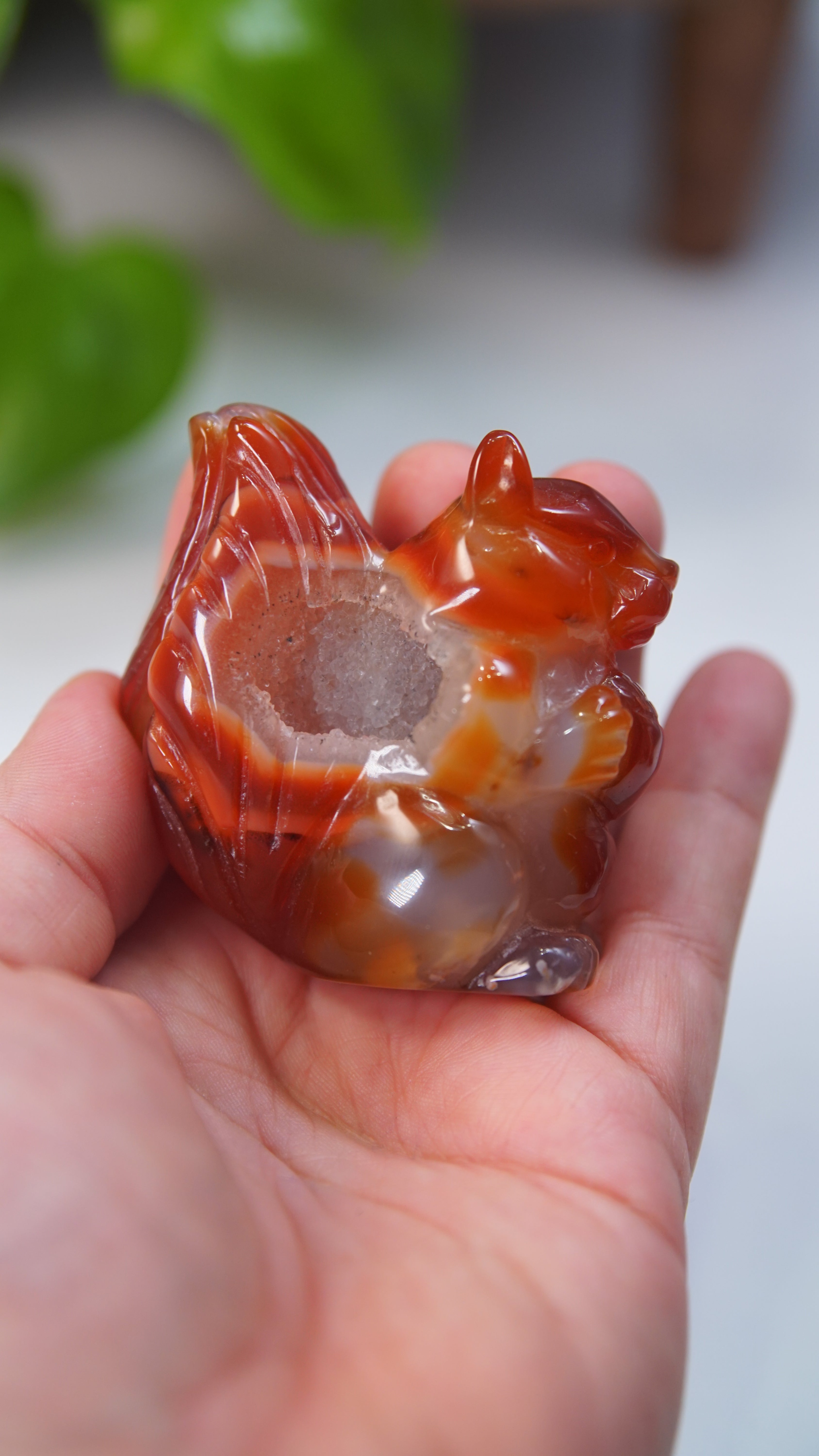 Druzy Carnelian Squirrel Boutique Carvings