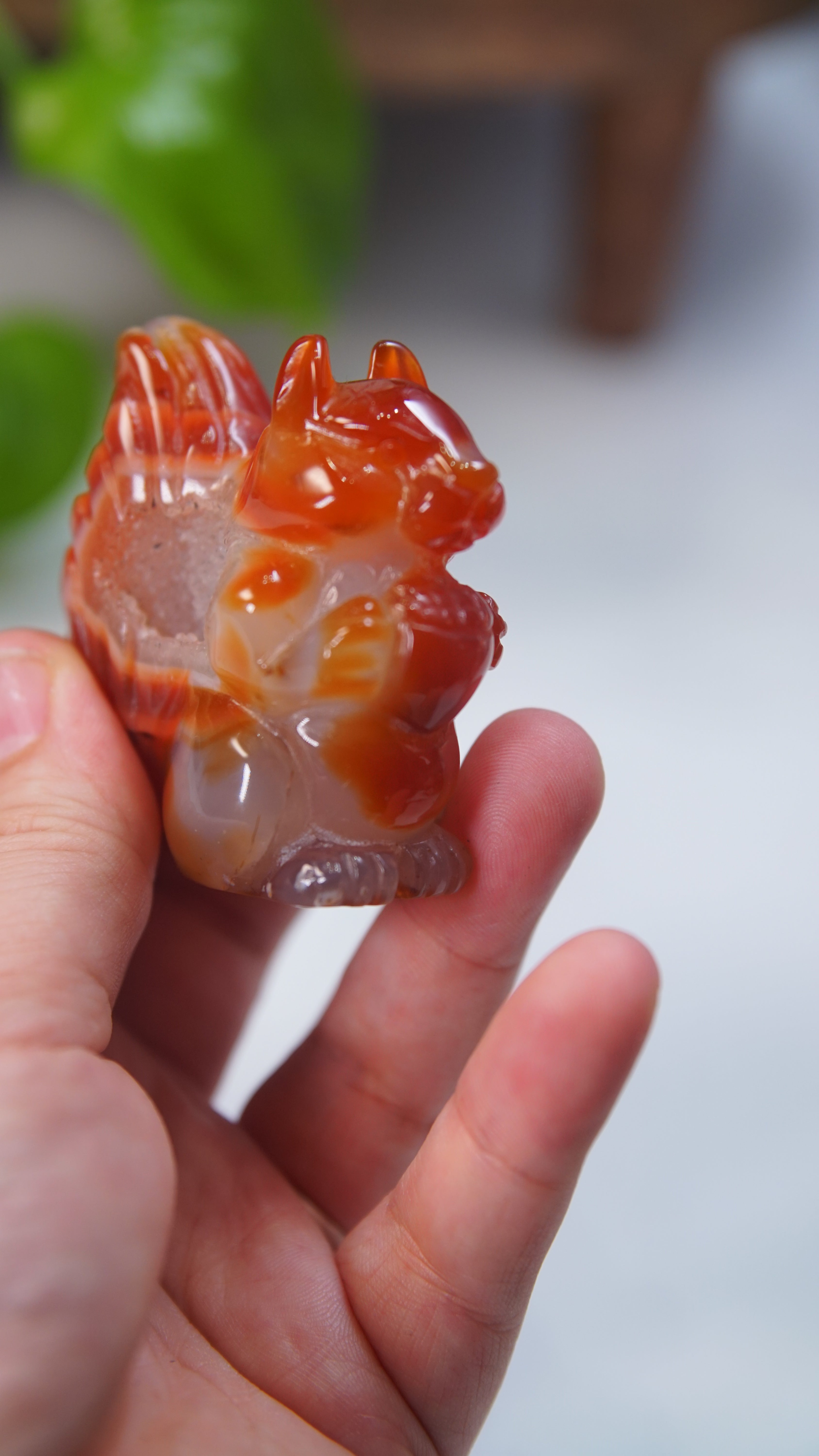 Druzy Carnelian Squirrel Boutique Carvings