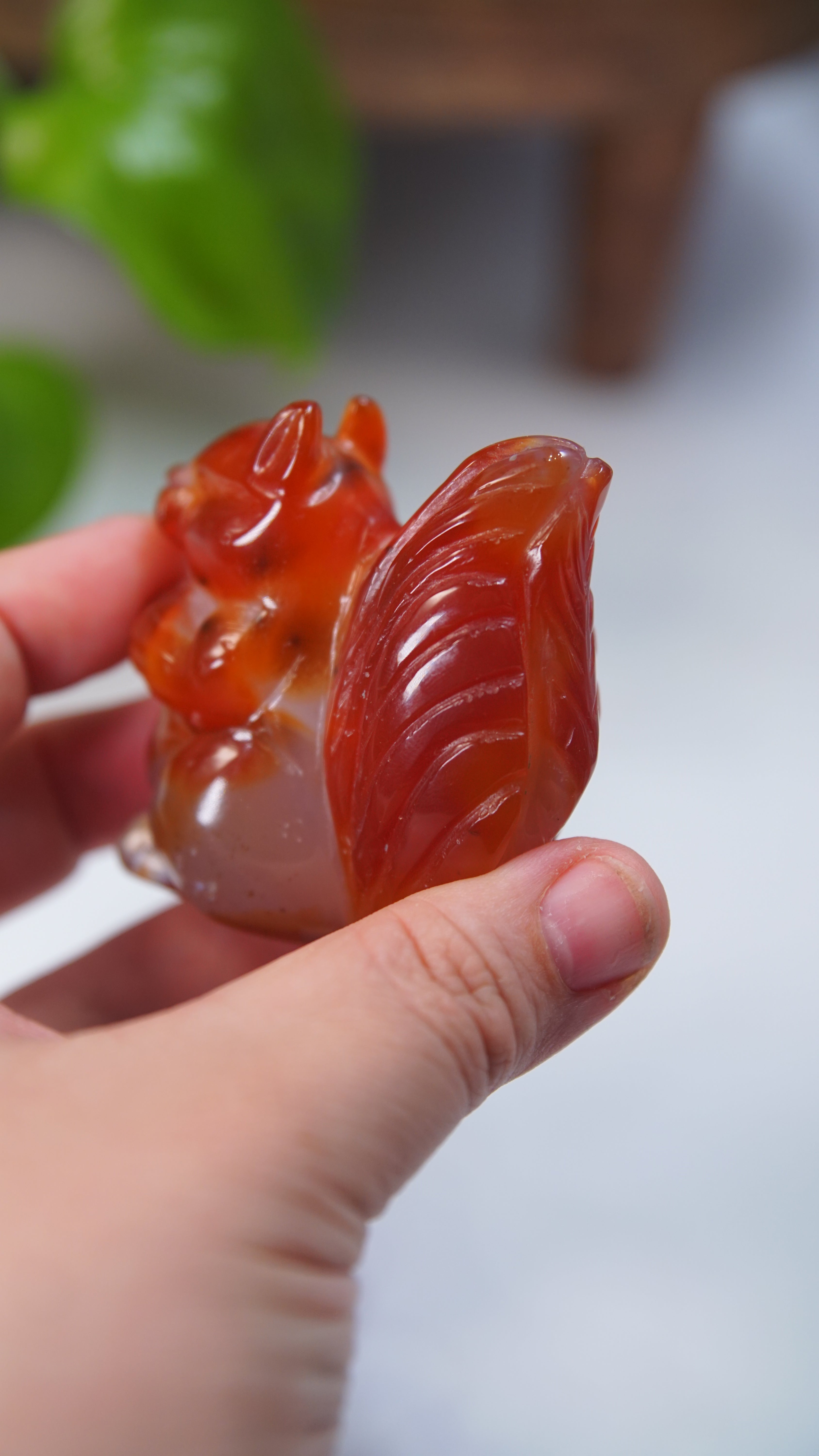 Druzy Carnelian Squirrel Boutique Carvings