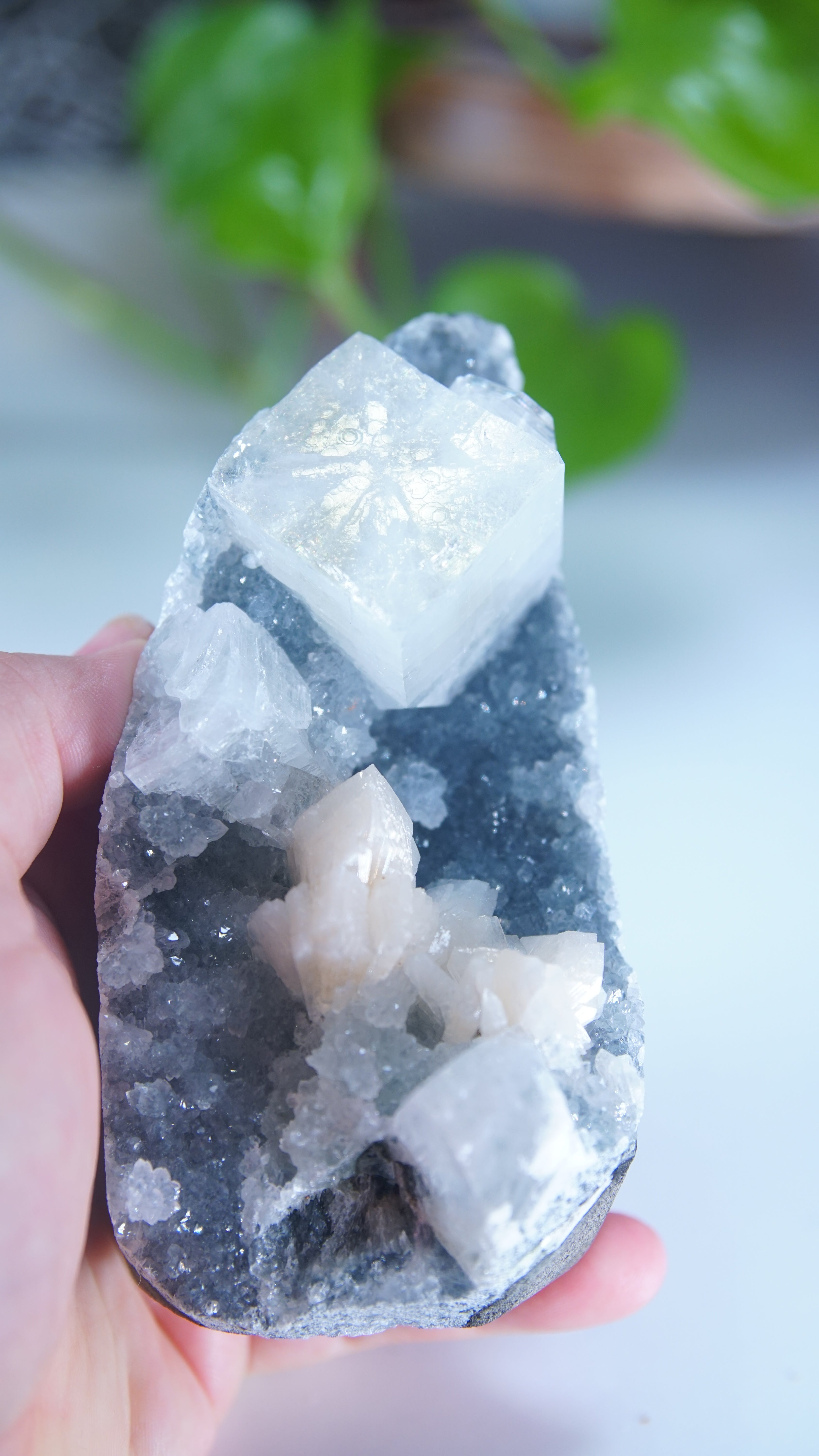 Diamond Apophyllite Blue Chalcedony Sugar Druzy Cluster | High Quality Diamond Apophyllite | US Seller