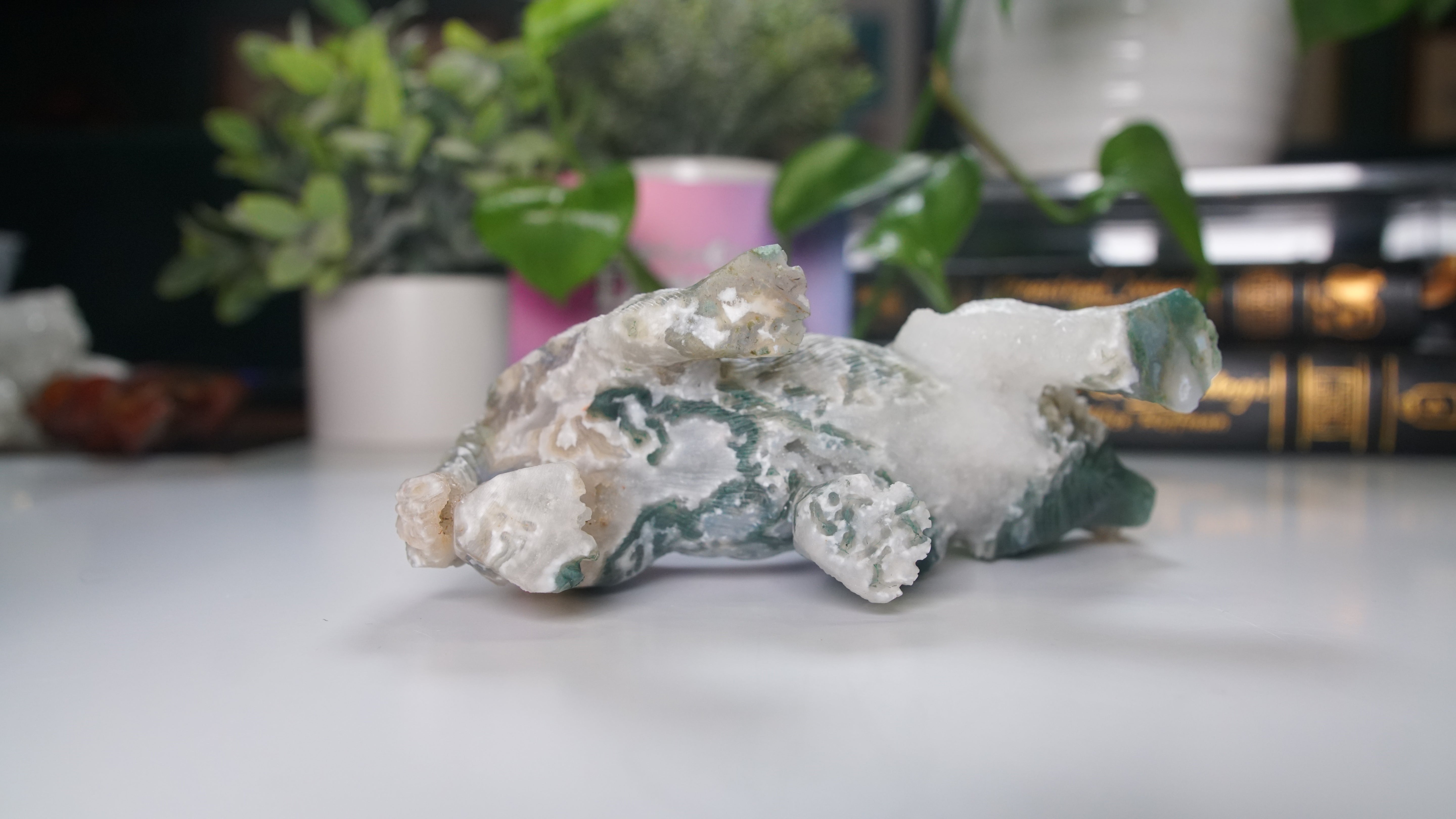 Druzy Moss Agate Boutique Wolf Carving | Crystal Carving Statement Piece | US Seller