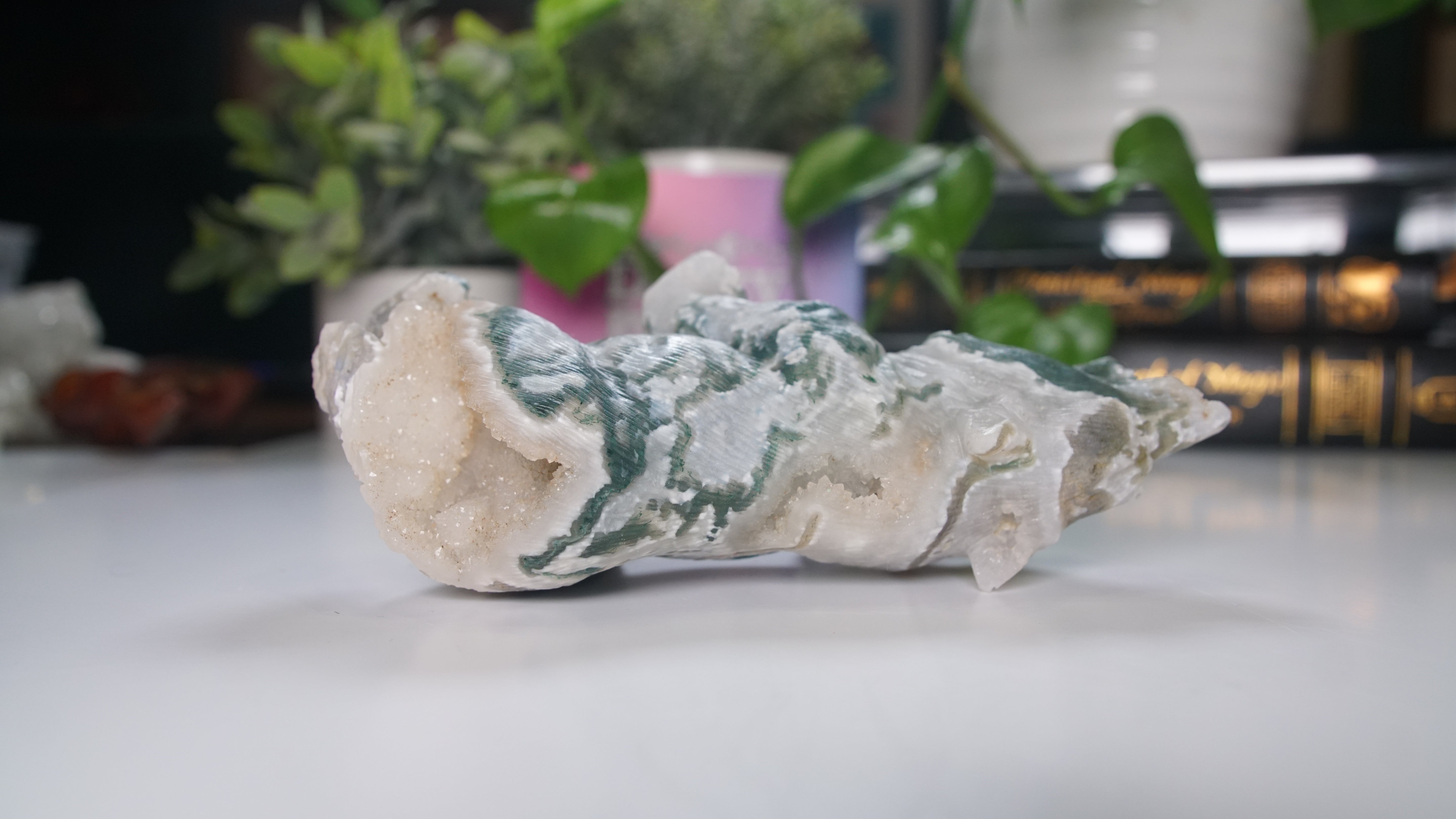 Druzy Moss Agate Boutique Wolf Carving | Crystal Carving Statement Piece | US Seller