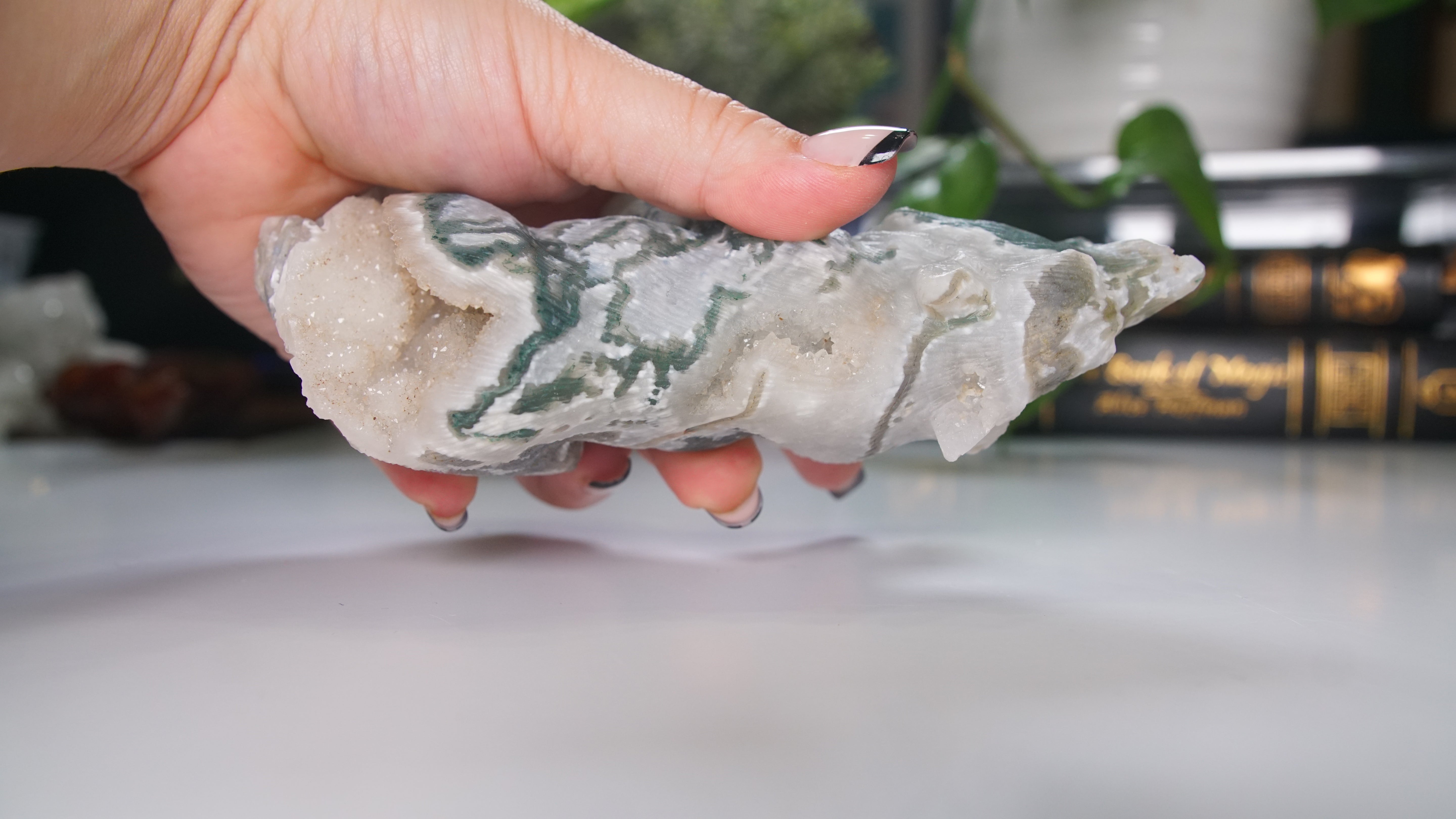 Druzy Moss Agate Boutique Wolf Carving | Crystal Carving Statement Piece | US Seller