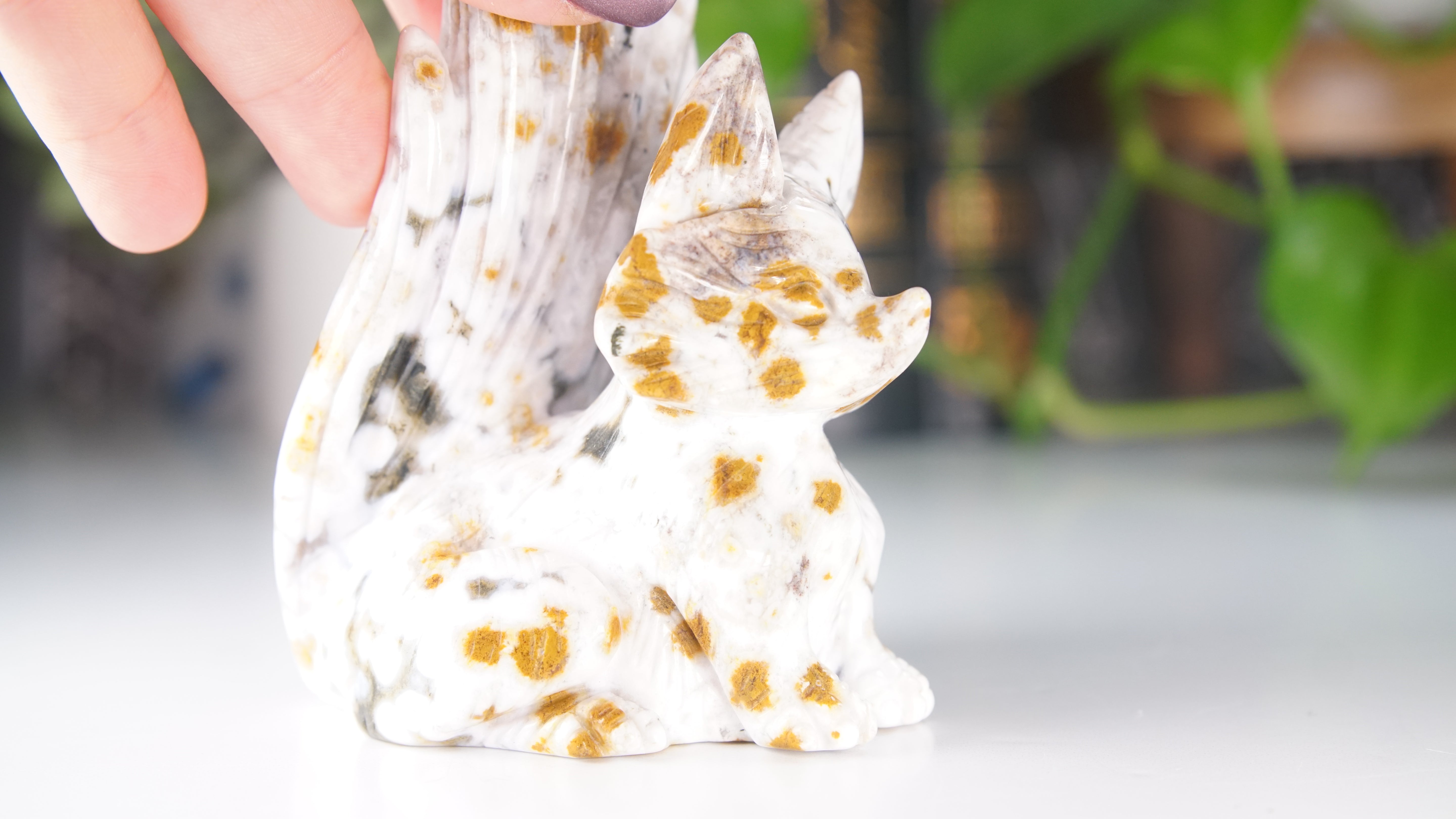 Ocean Jasper Boutique Fox Carving