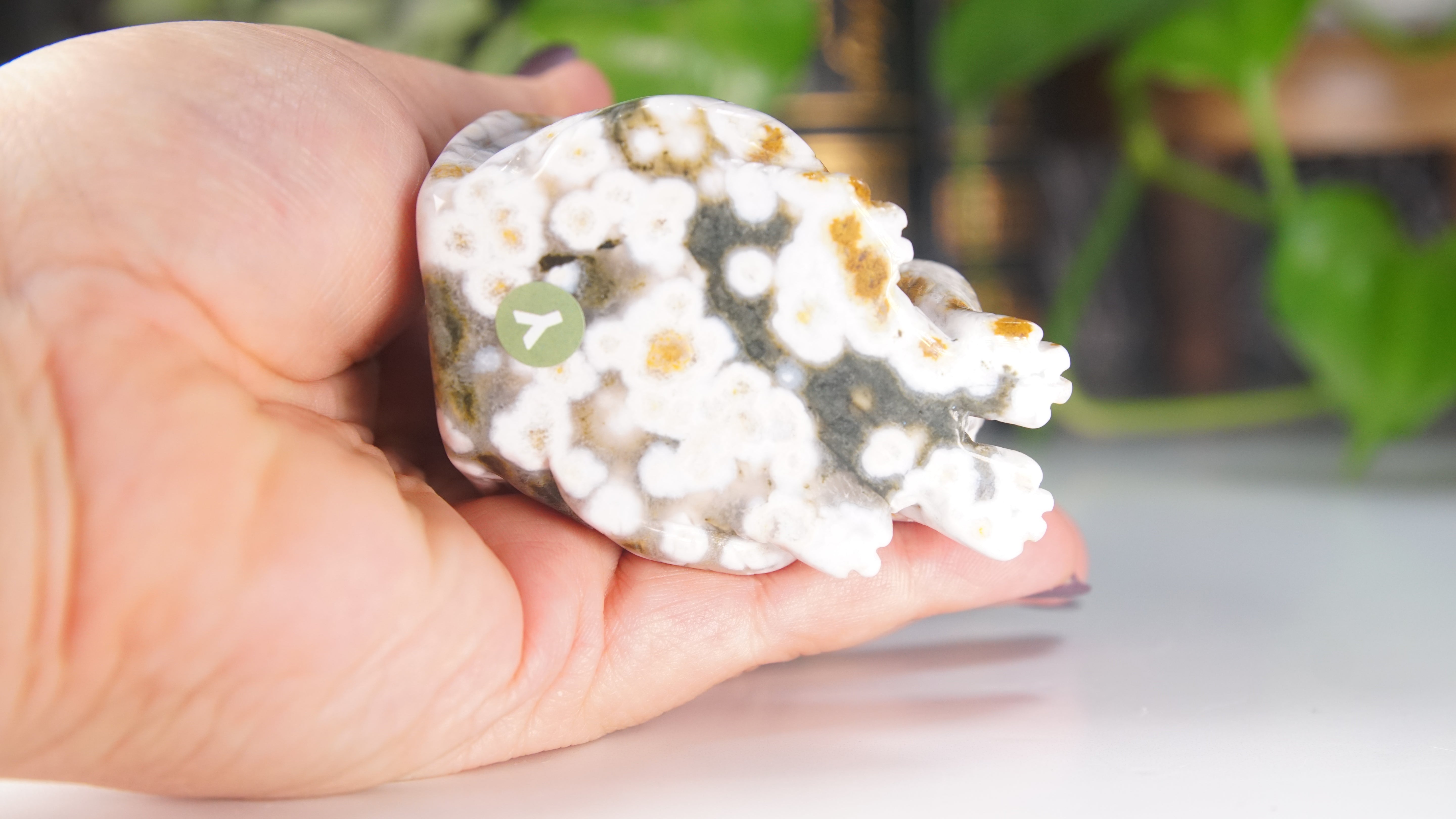 Ocean Jasper Boutique Fox Carving
