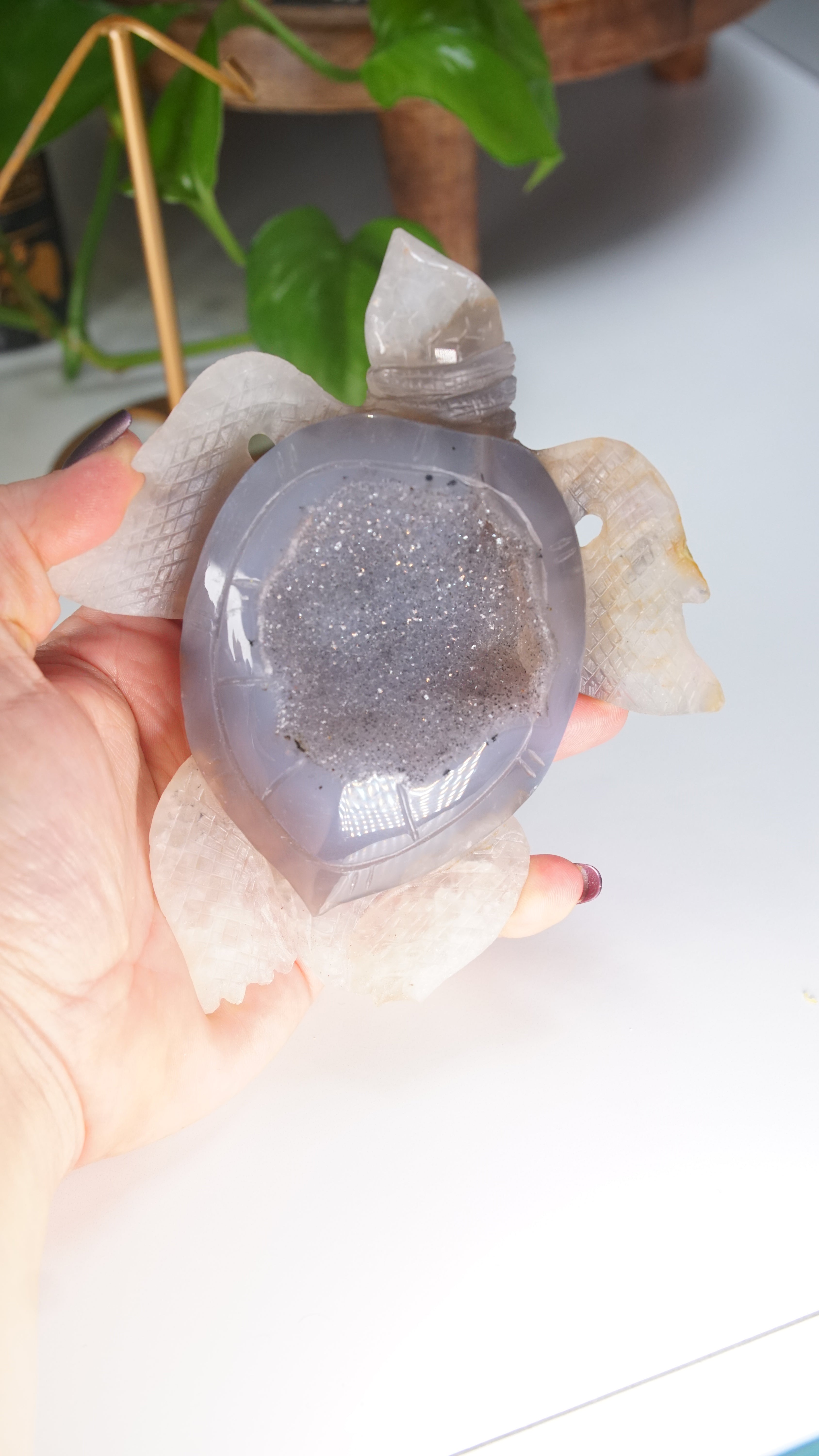 Boutique Carving Druzy Agate Sea Turtle With Stand