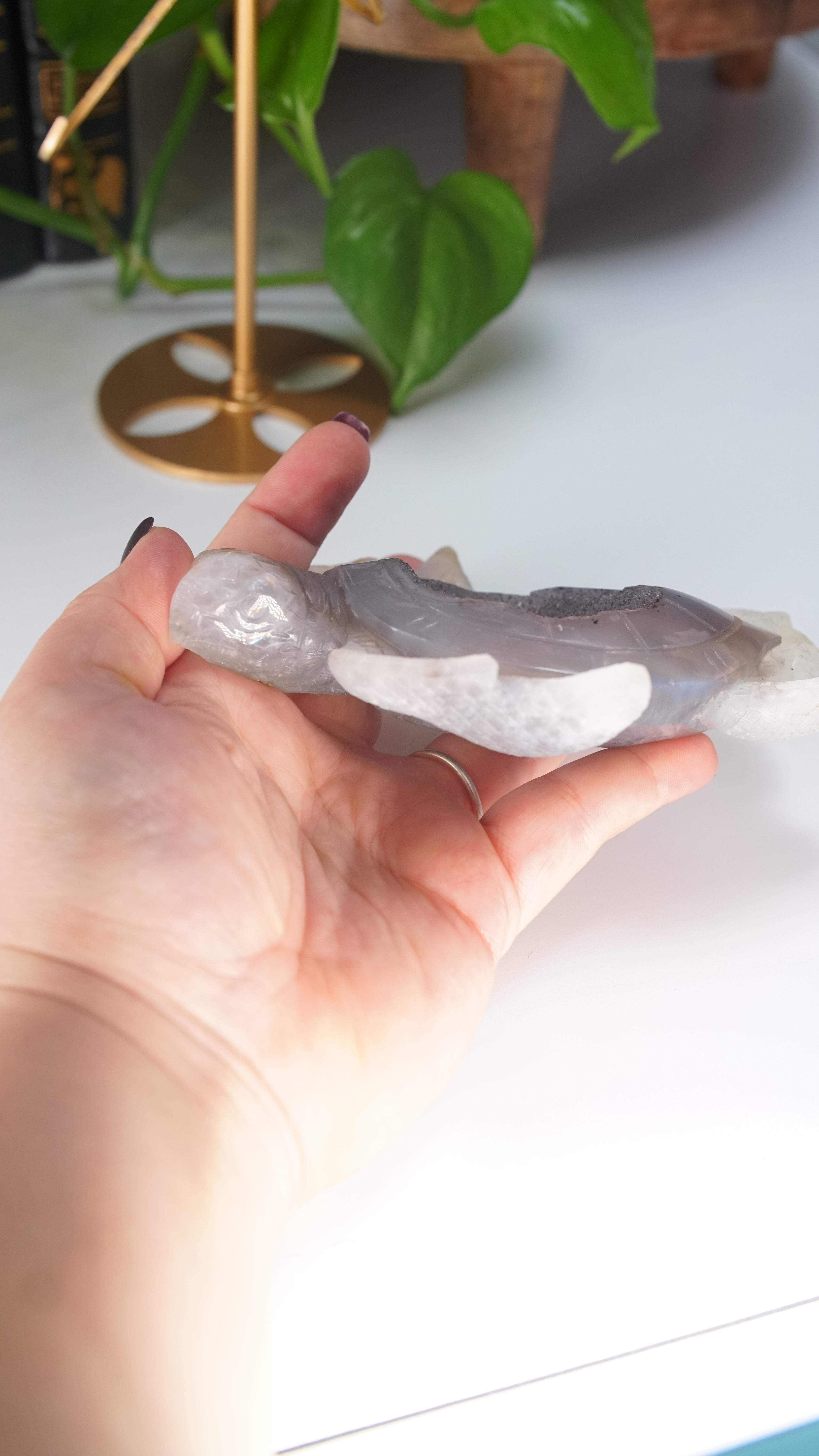 Boutique Carving Druzy Agate Sea Turtle With Stand