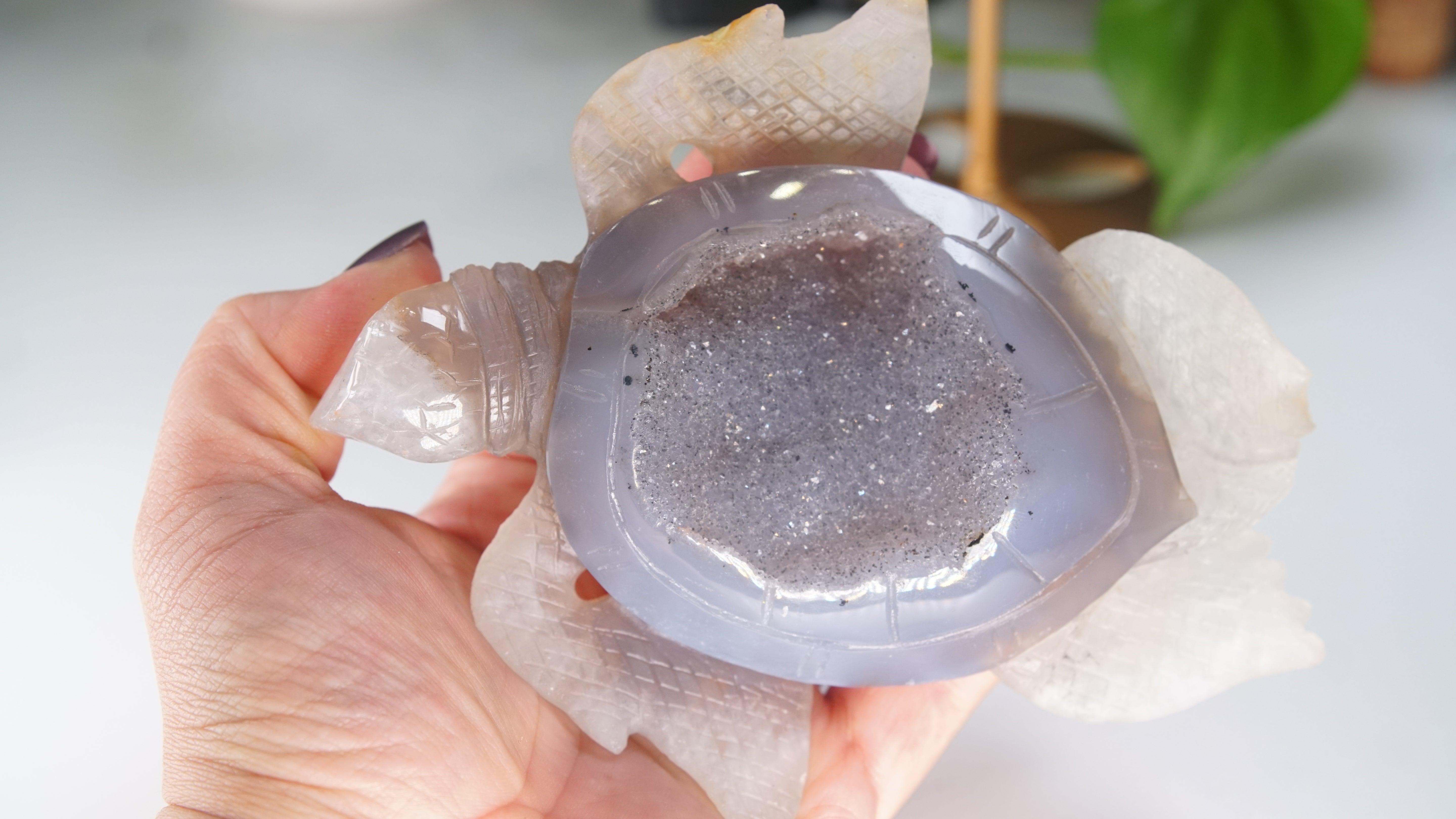 Boutique Carving Druzy Agate Sea Turtle With Stand