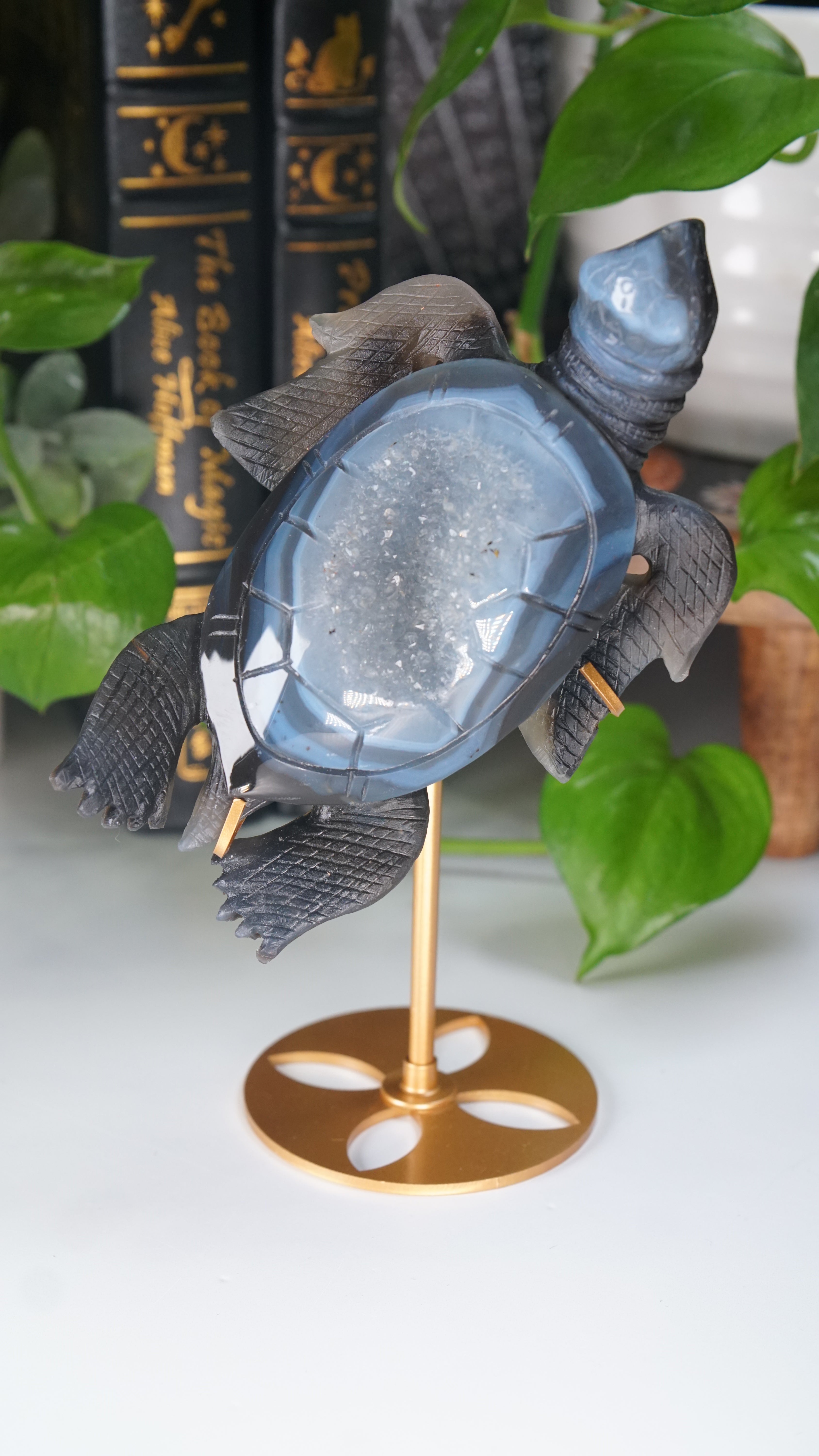 Boutique Carving Druzy Agate Sea Turtle With Stand