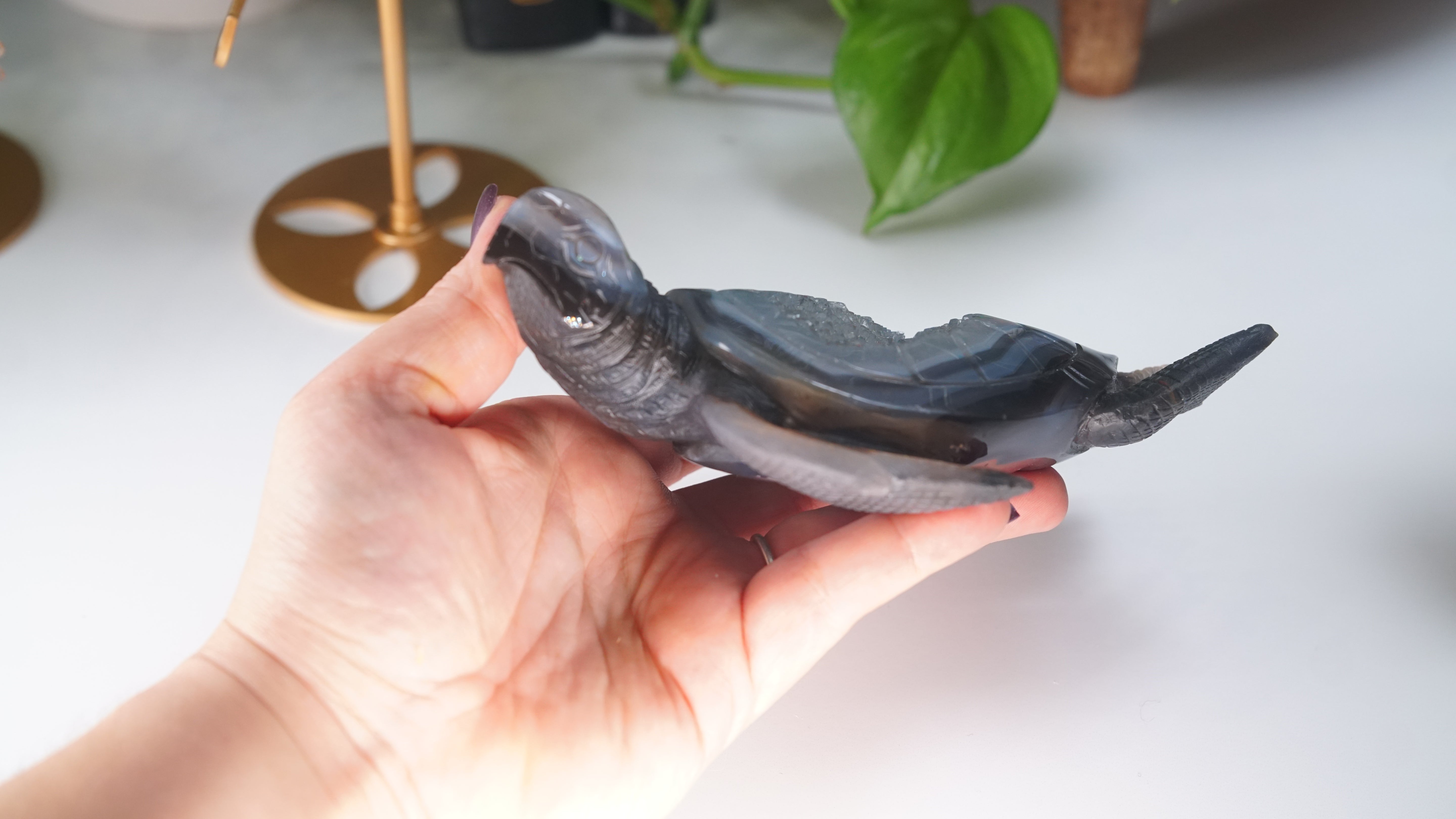 Boutique Carving Druzy Agate Sea Turtle With Stand