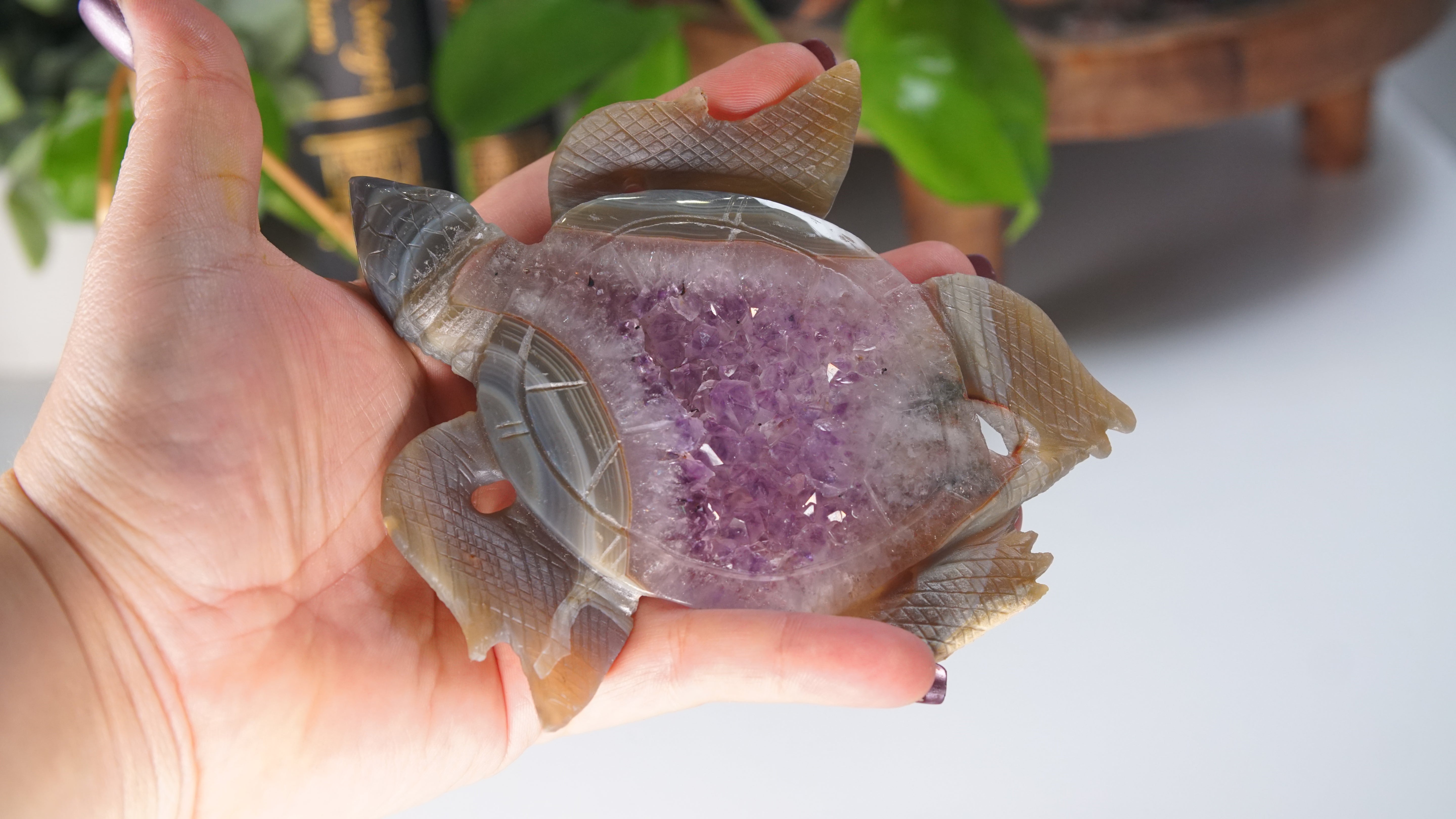 Boutique Carving Amethyst Agate Sea Turtle With Stand