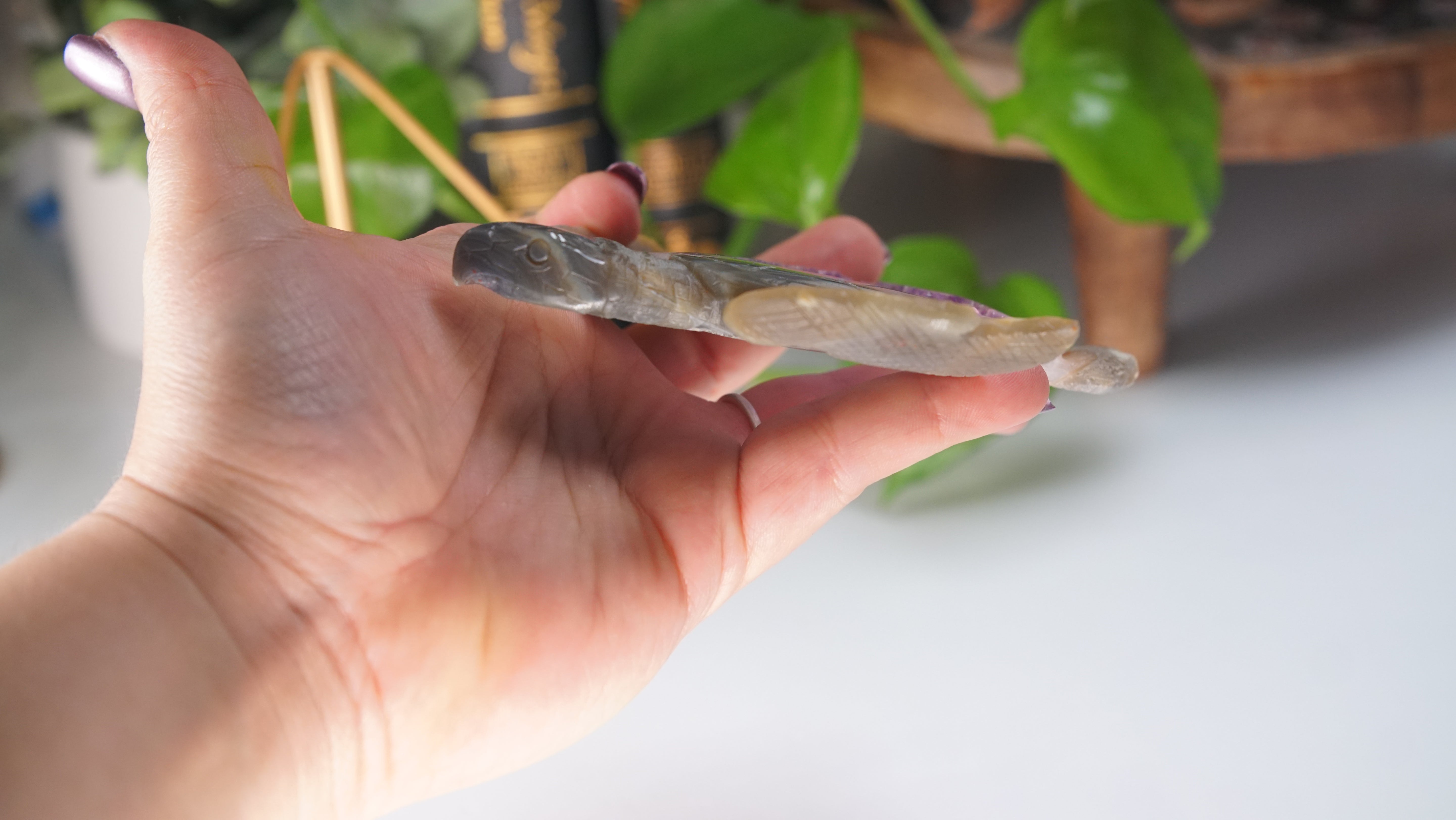 Boutique Carving Amethyst Agate Sea Turtle With Stand