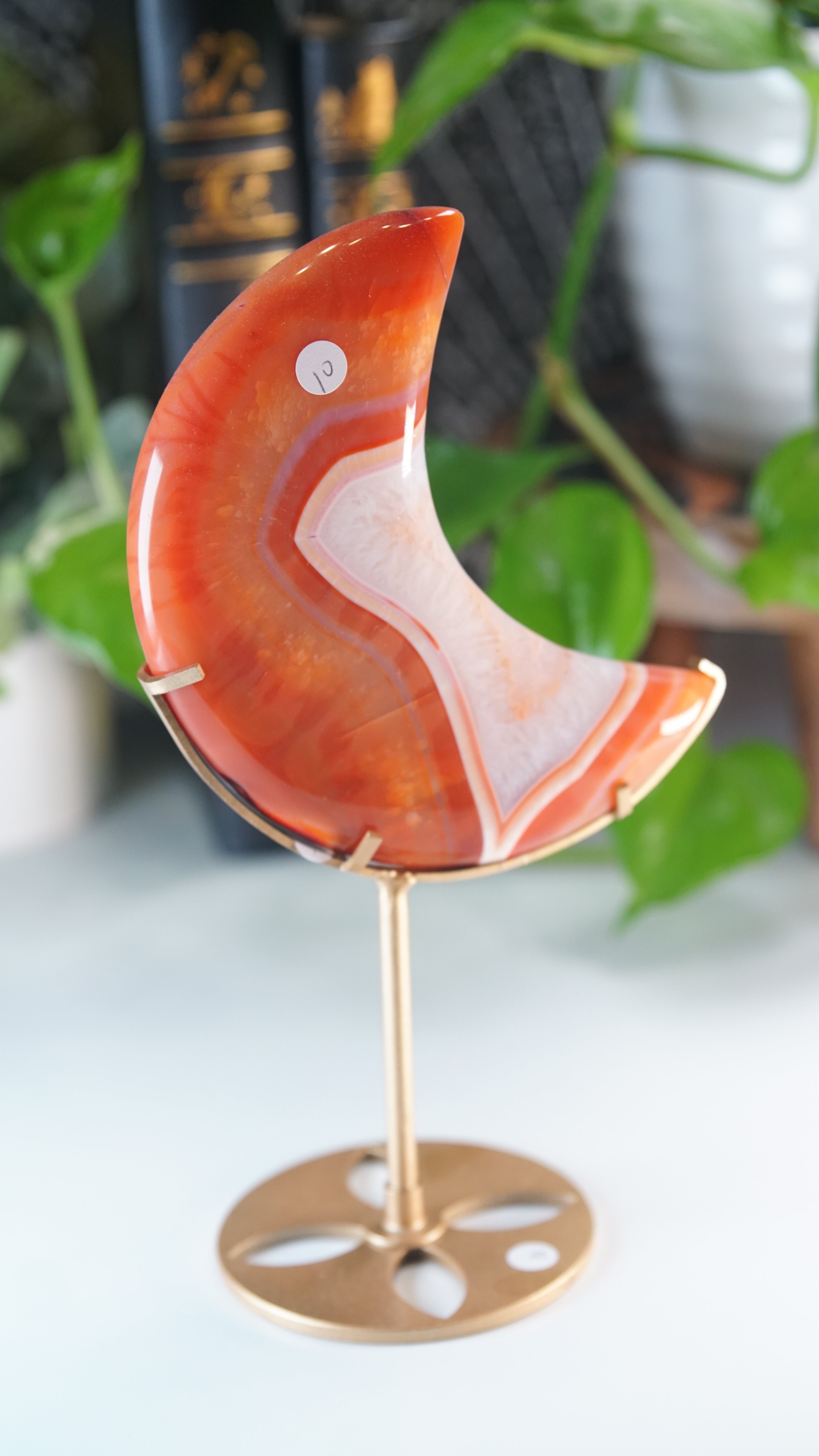 Carnelian Agate & Quartz Moon With Free Custom Stand